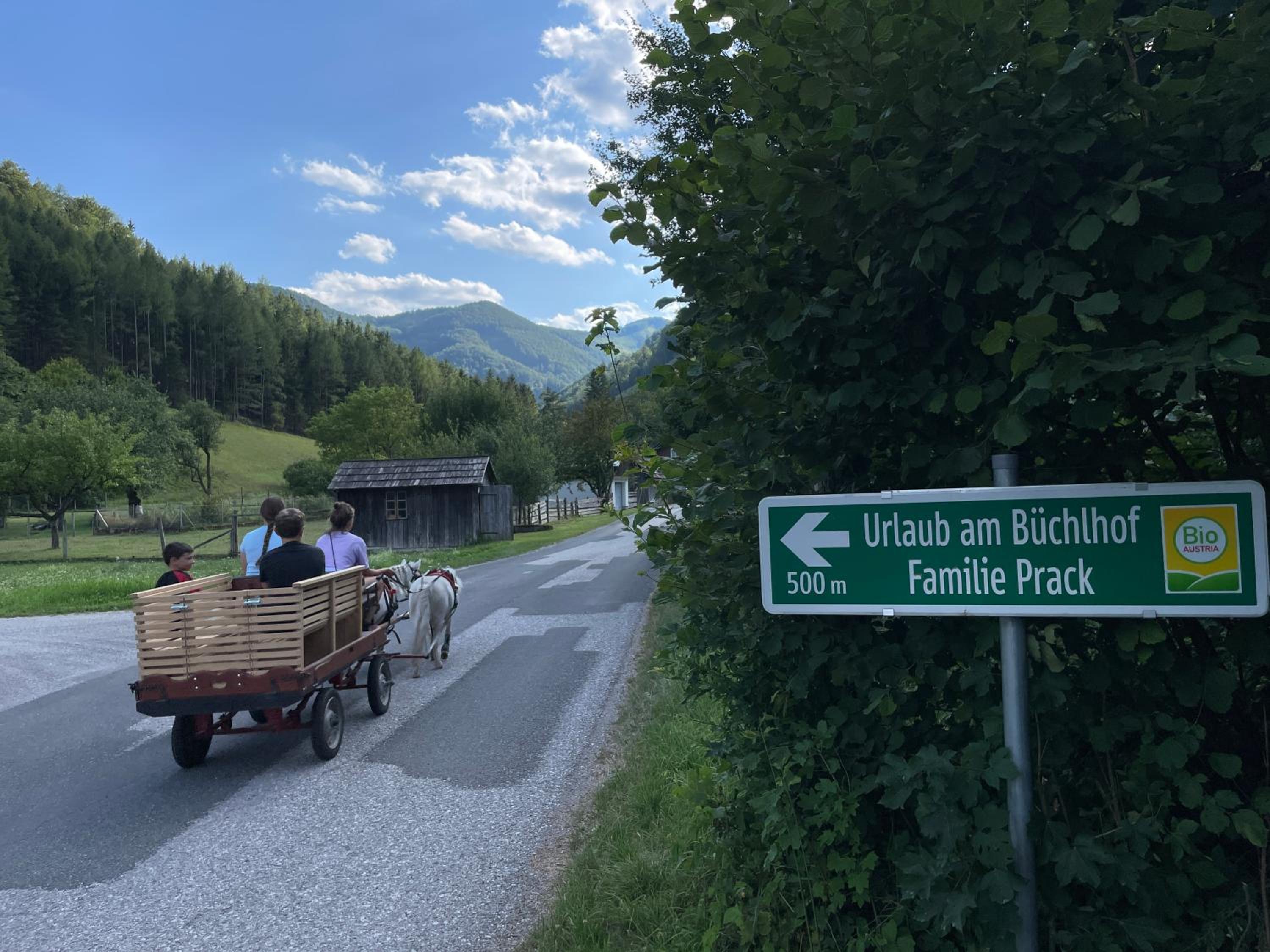 Büchlhof - App. Himmelalm