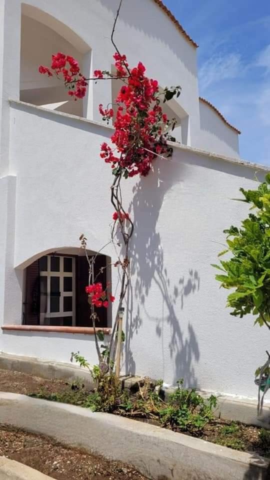 Pitty House Sardegna