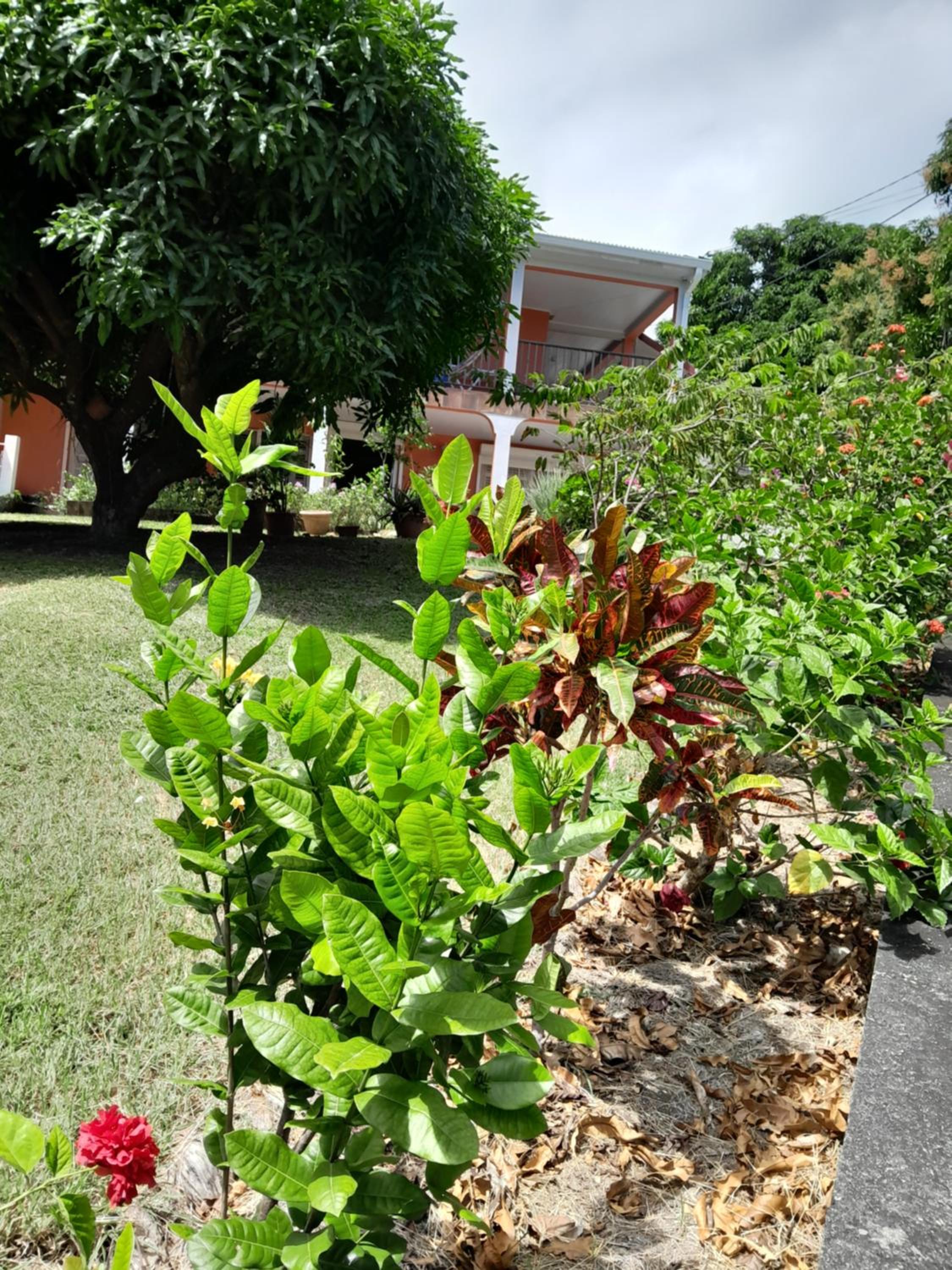Photo 17