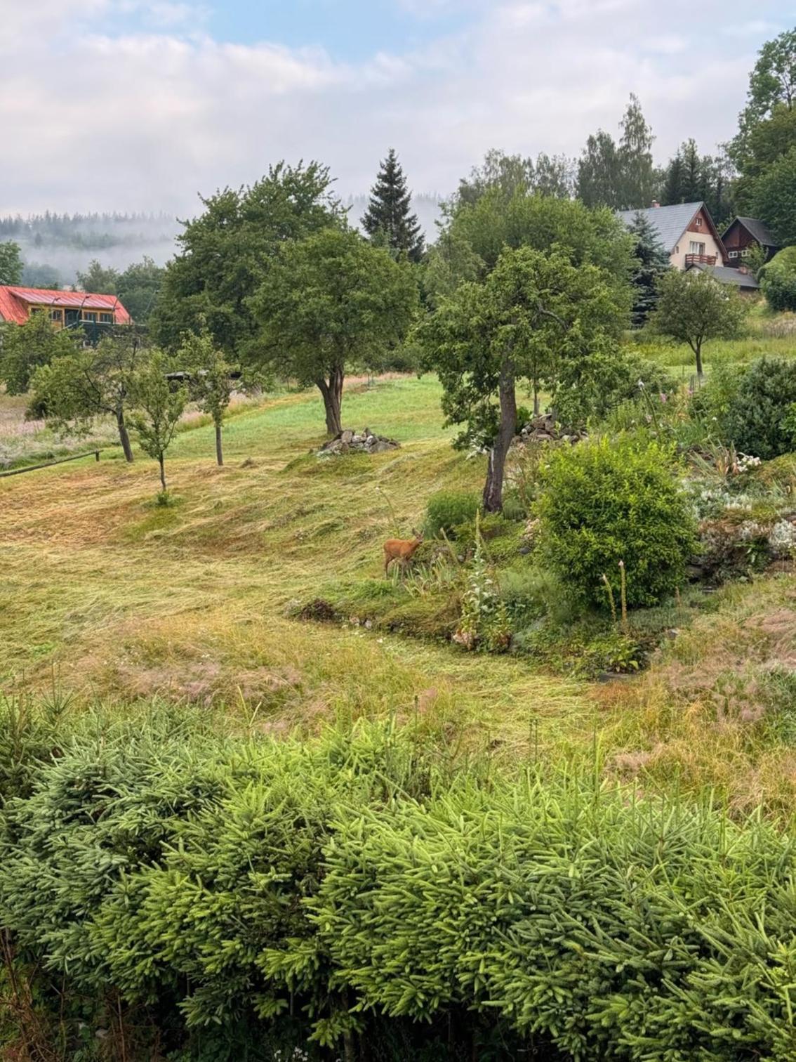 Rodinný apartmán Za Školou