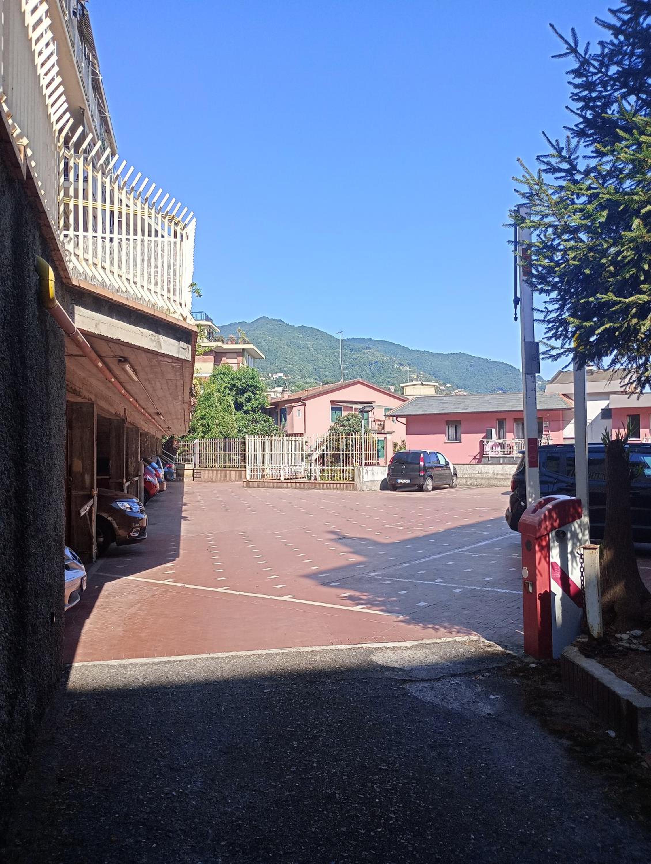 Rapallino house