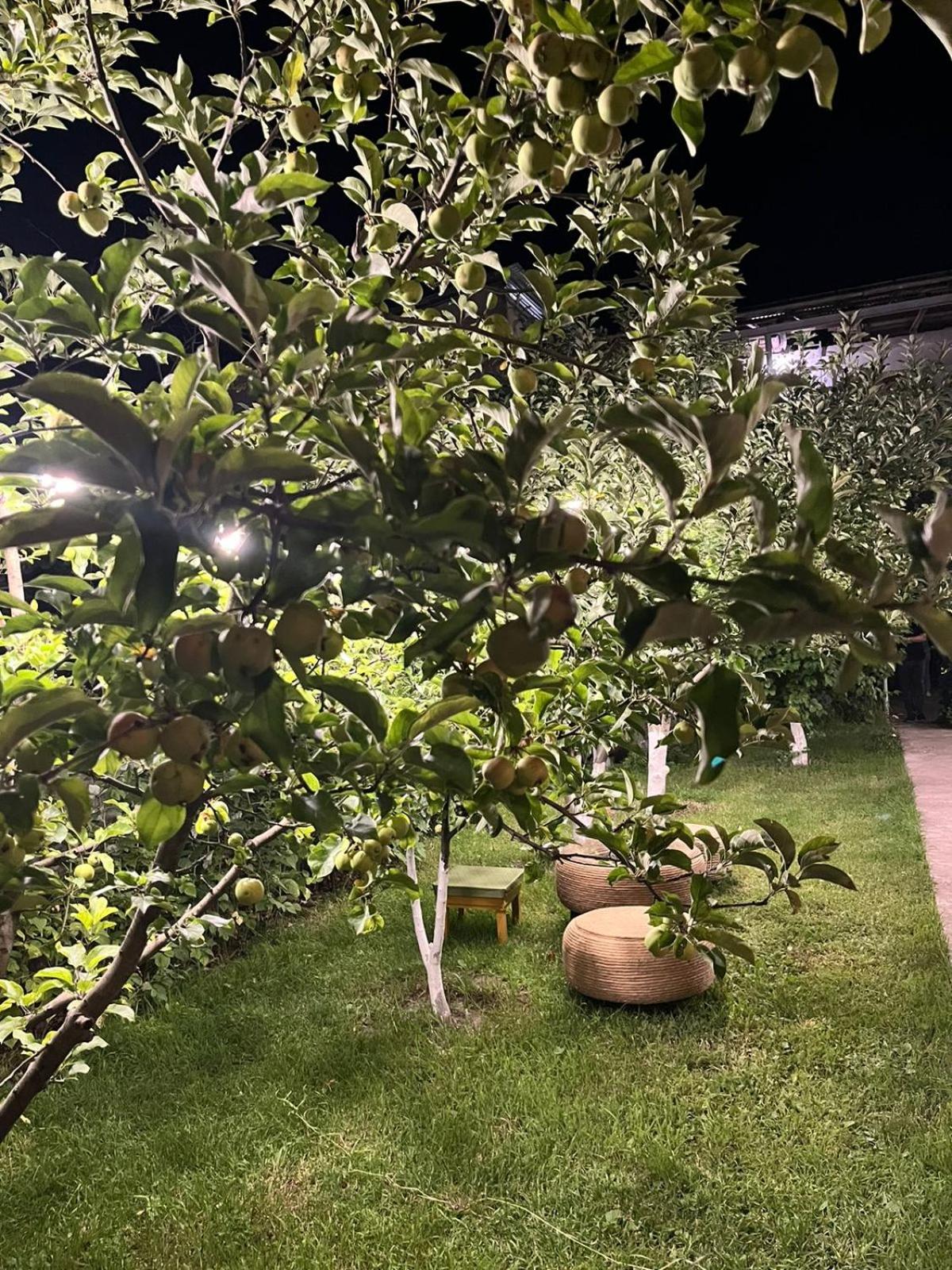 Andranik B&B