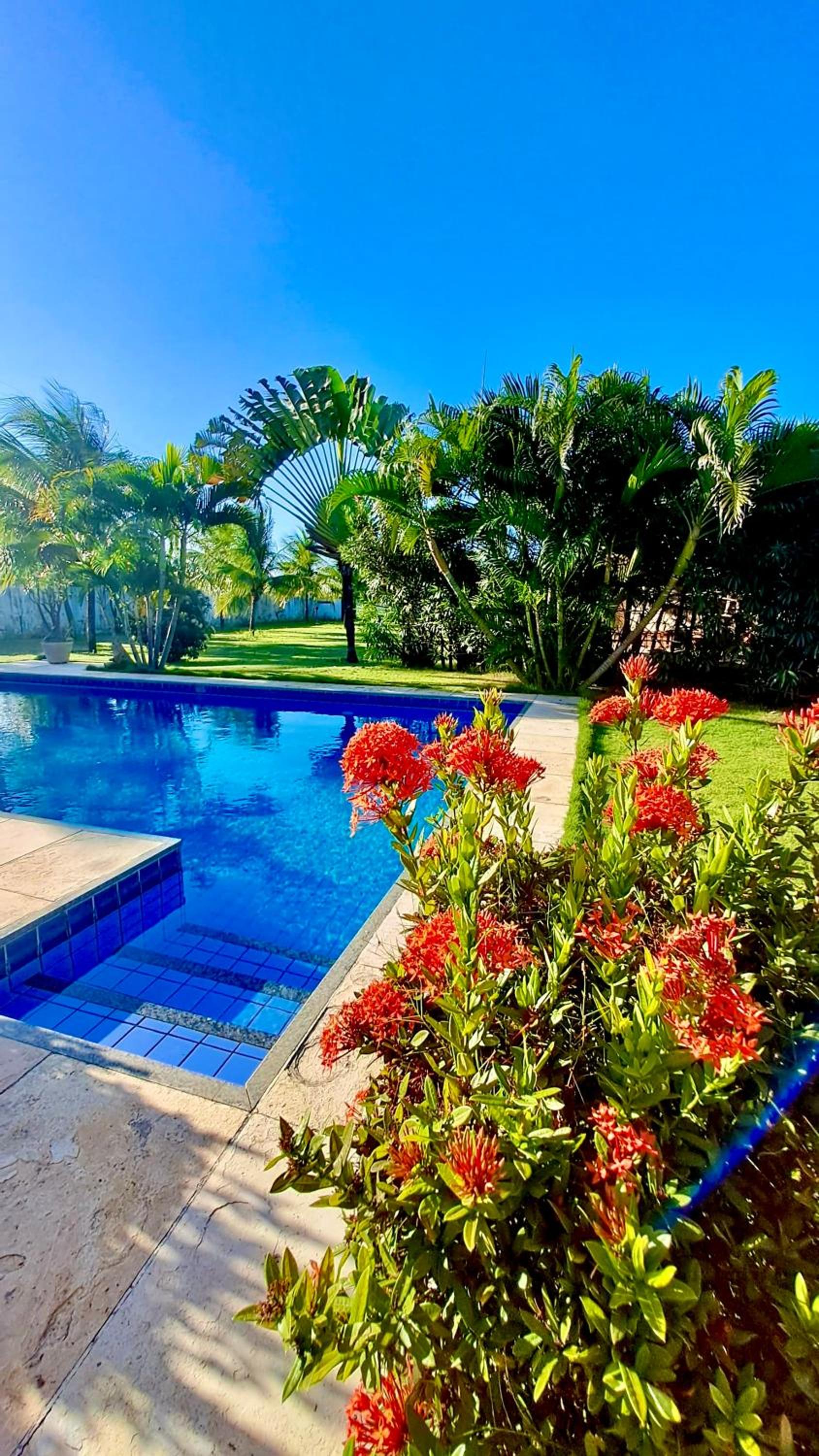Villa Caju Knots