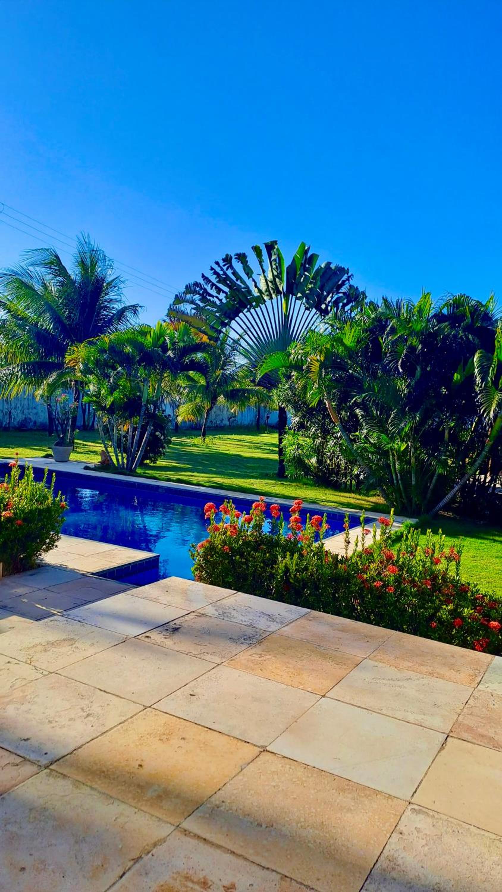 Villa Caju Knots
