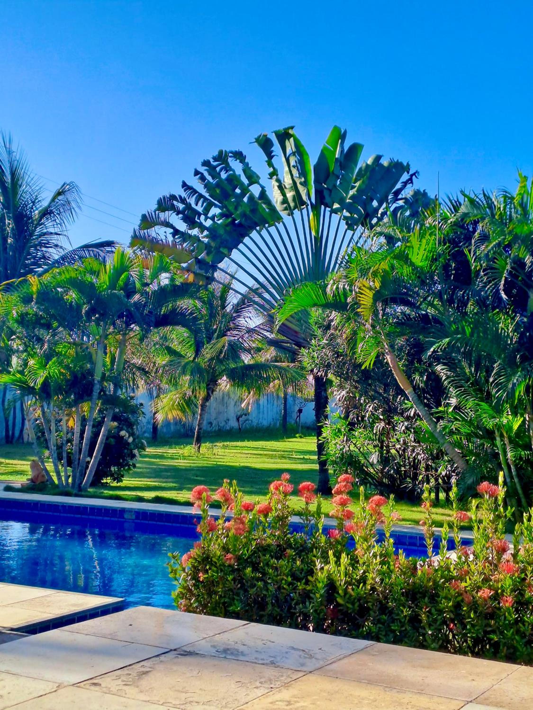 Villa Caju Knots