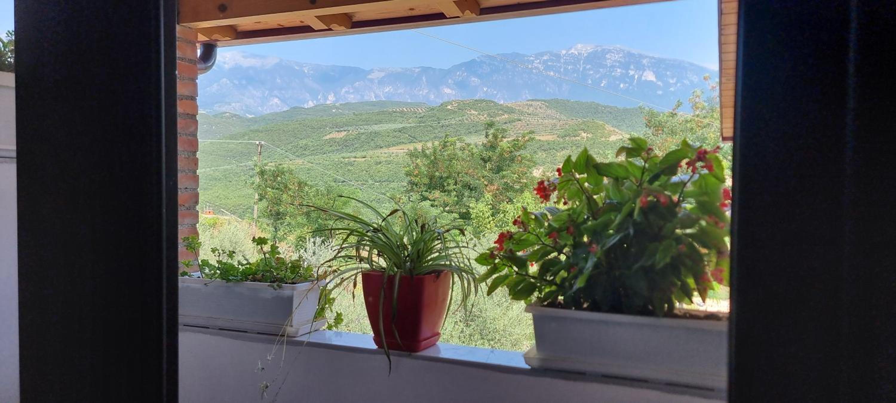 Salillari Guest house & Restaurant