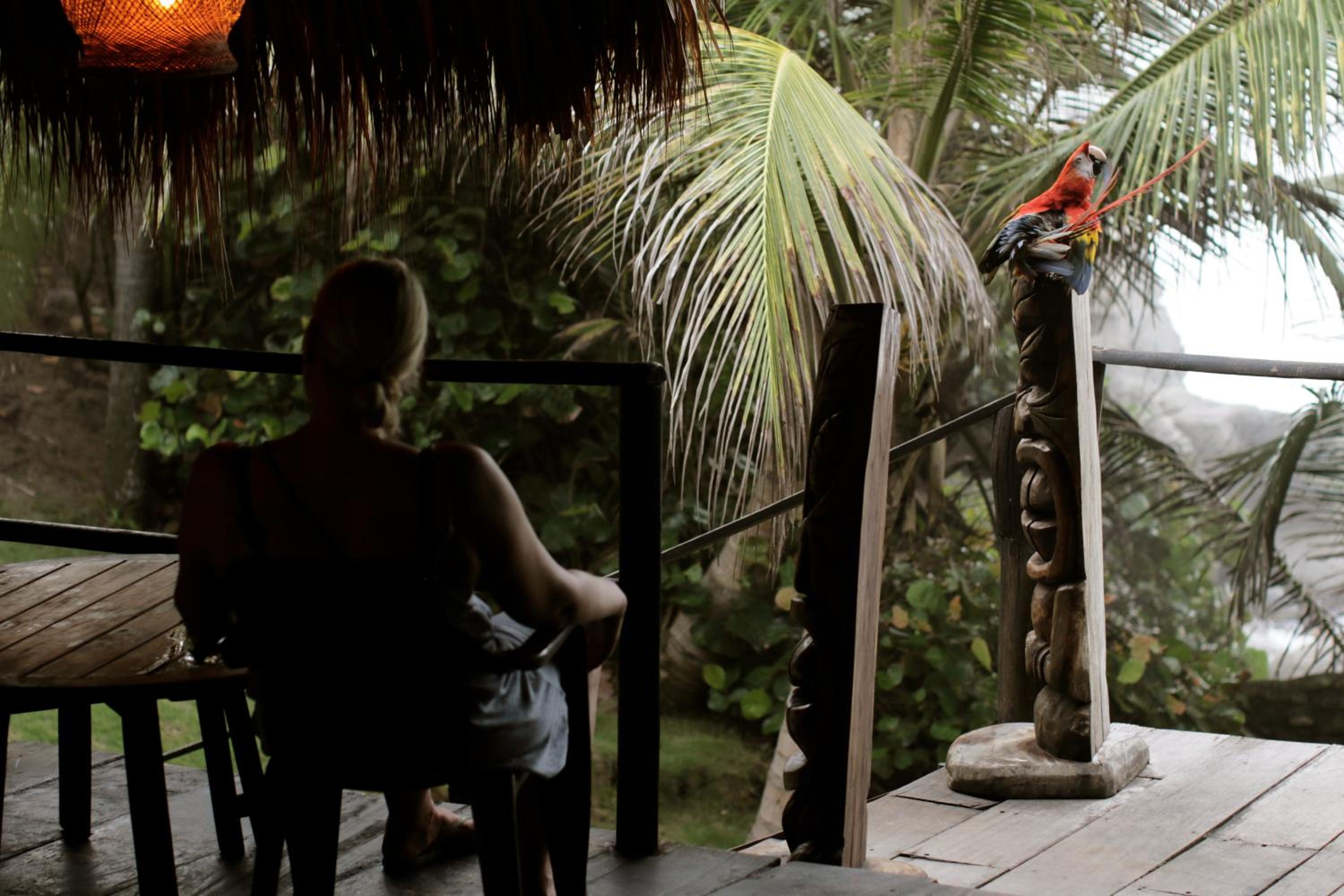 Finca Barlovento Cabaña, Tayrona
