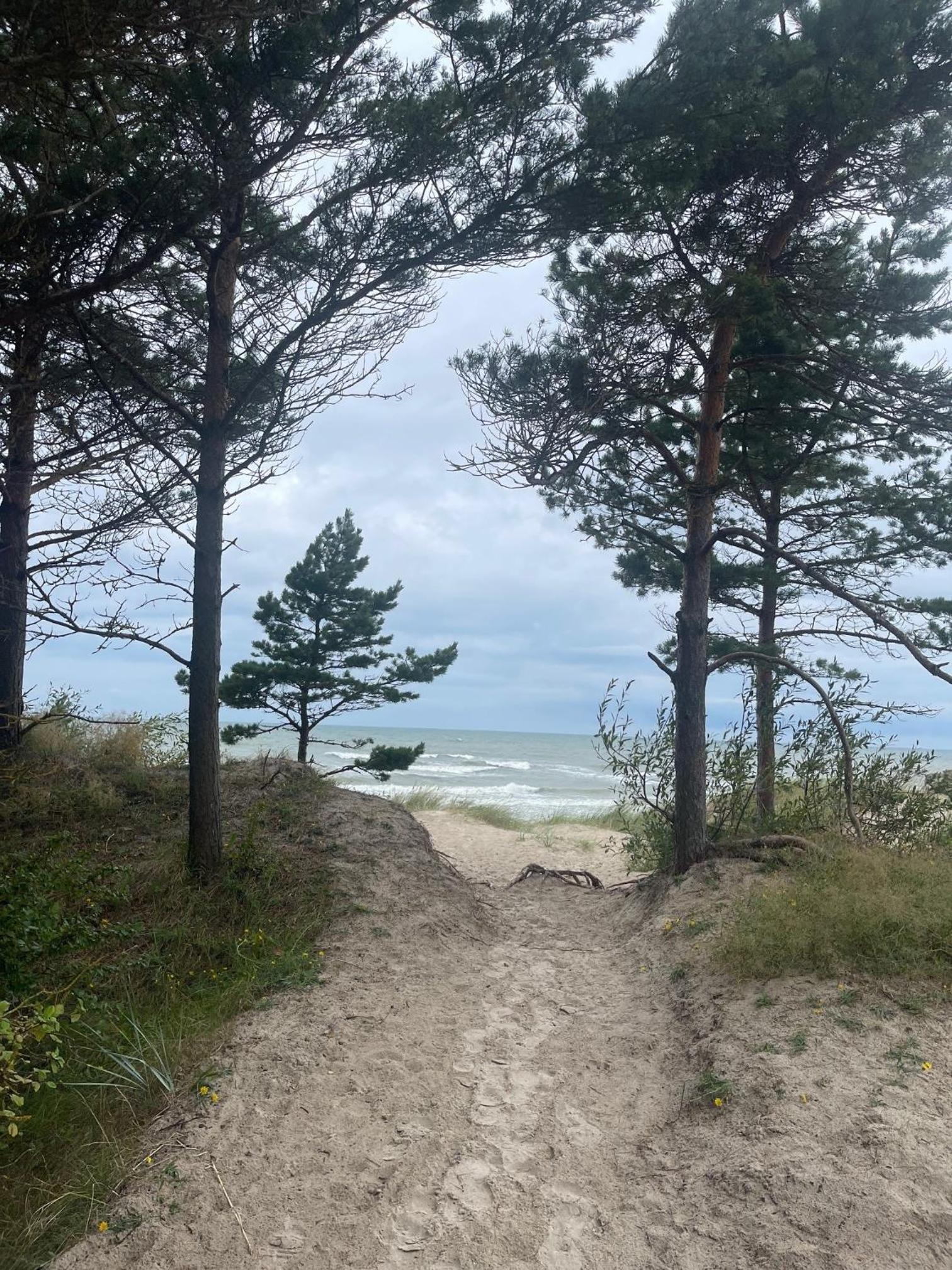 Parko namas view 5