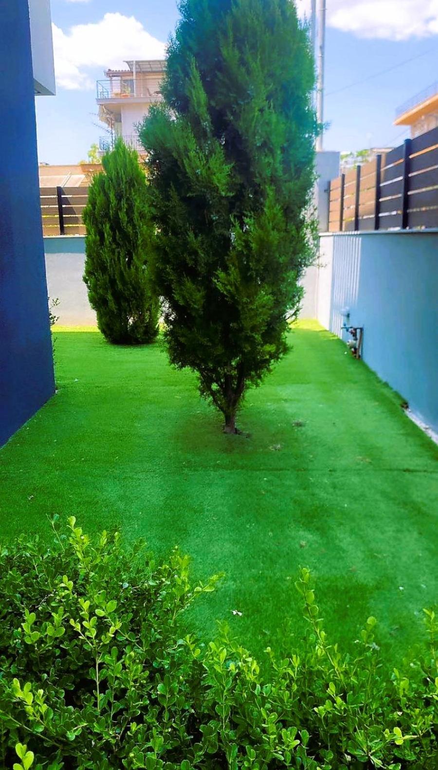 Photo 38