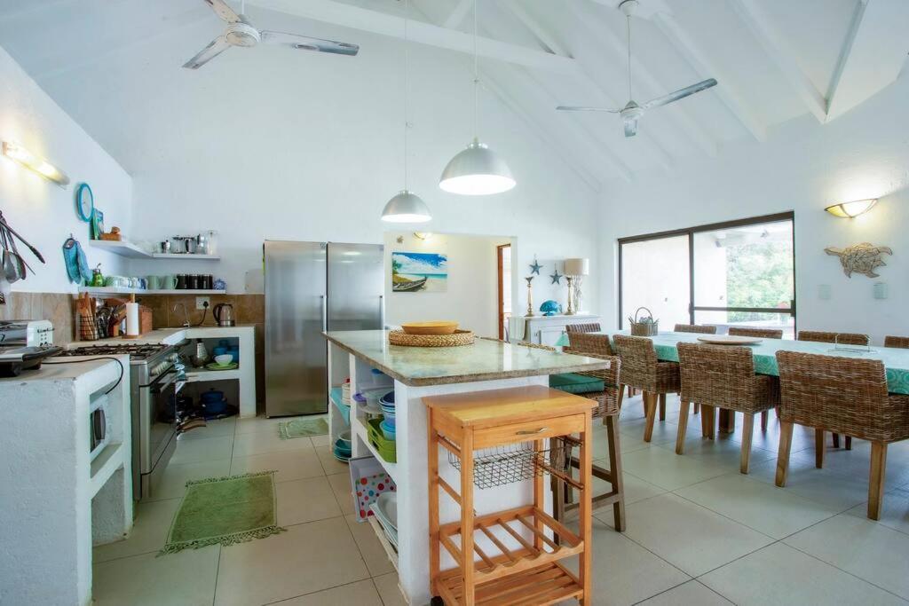Baleia Azul 20 view 3