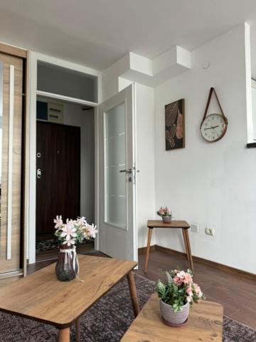 Sany Apartment