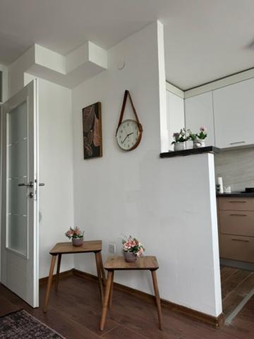 Sany Apartment