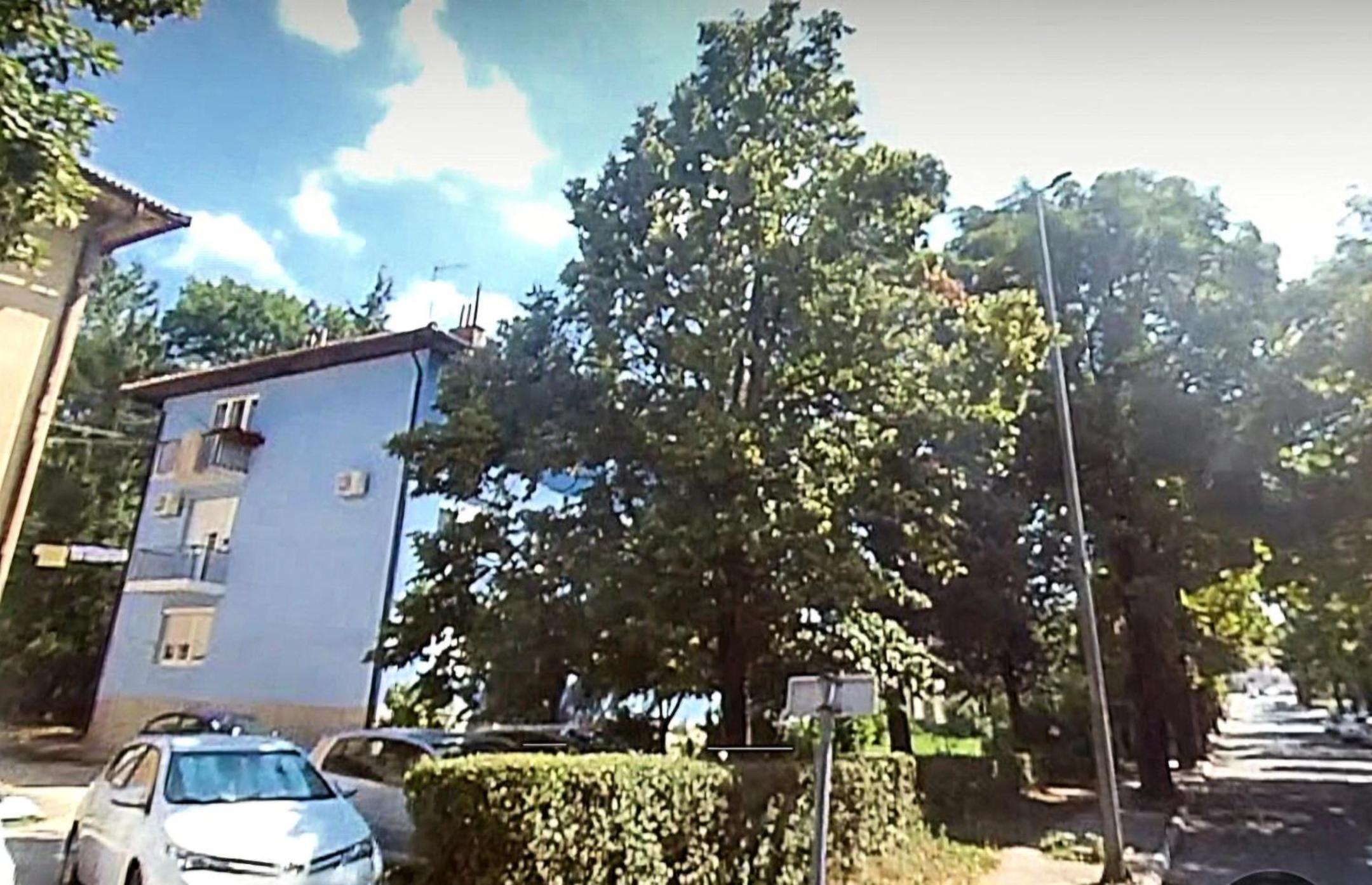 Apartman Cincar