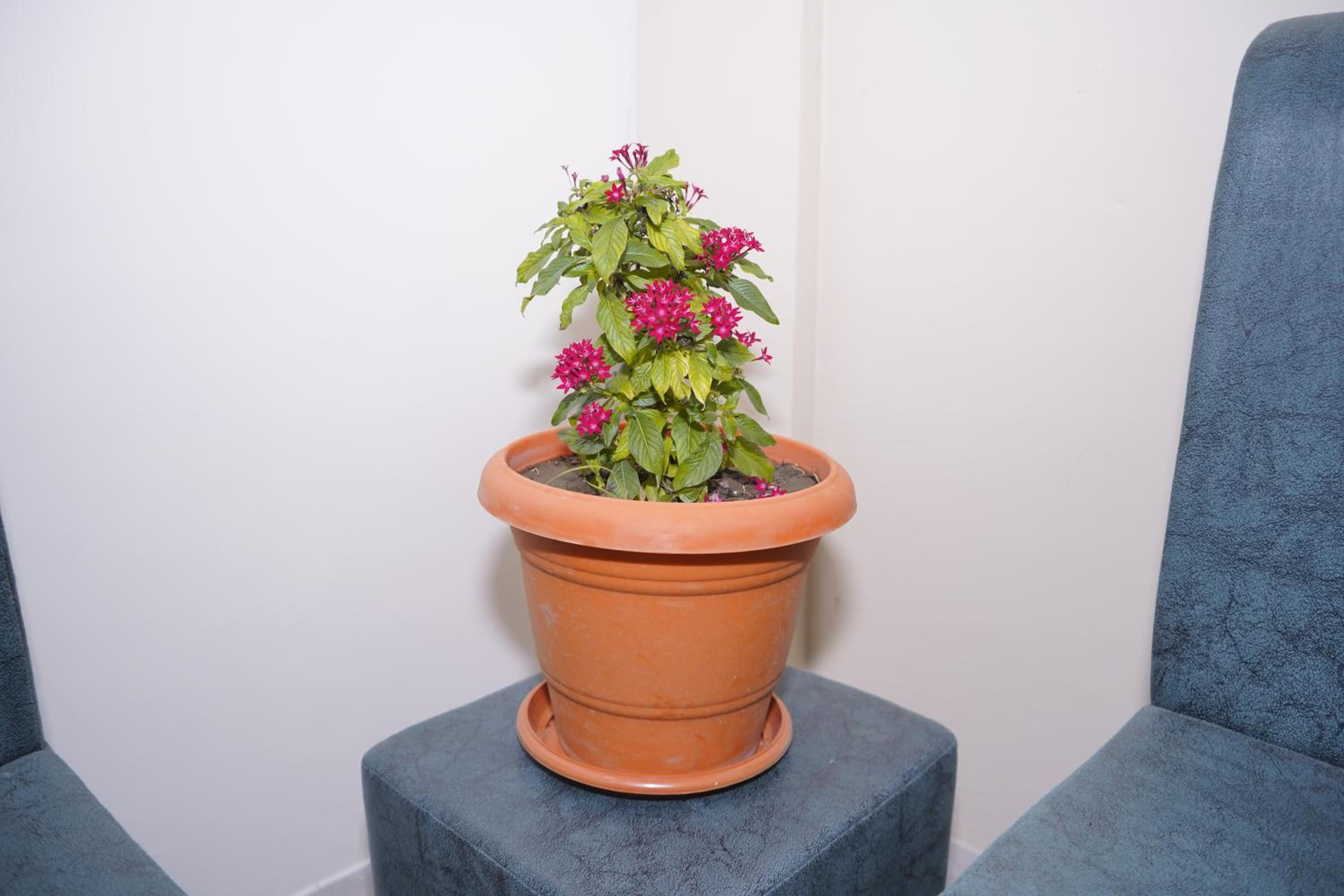 Photo 28