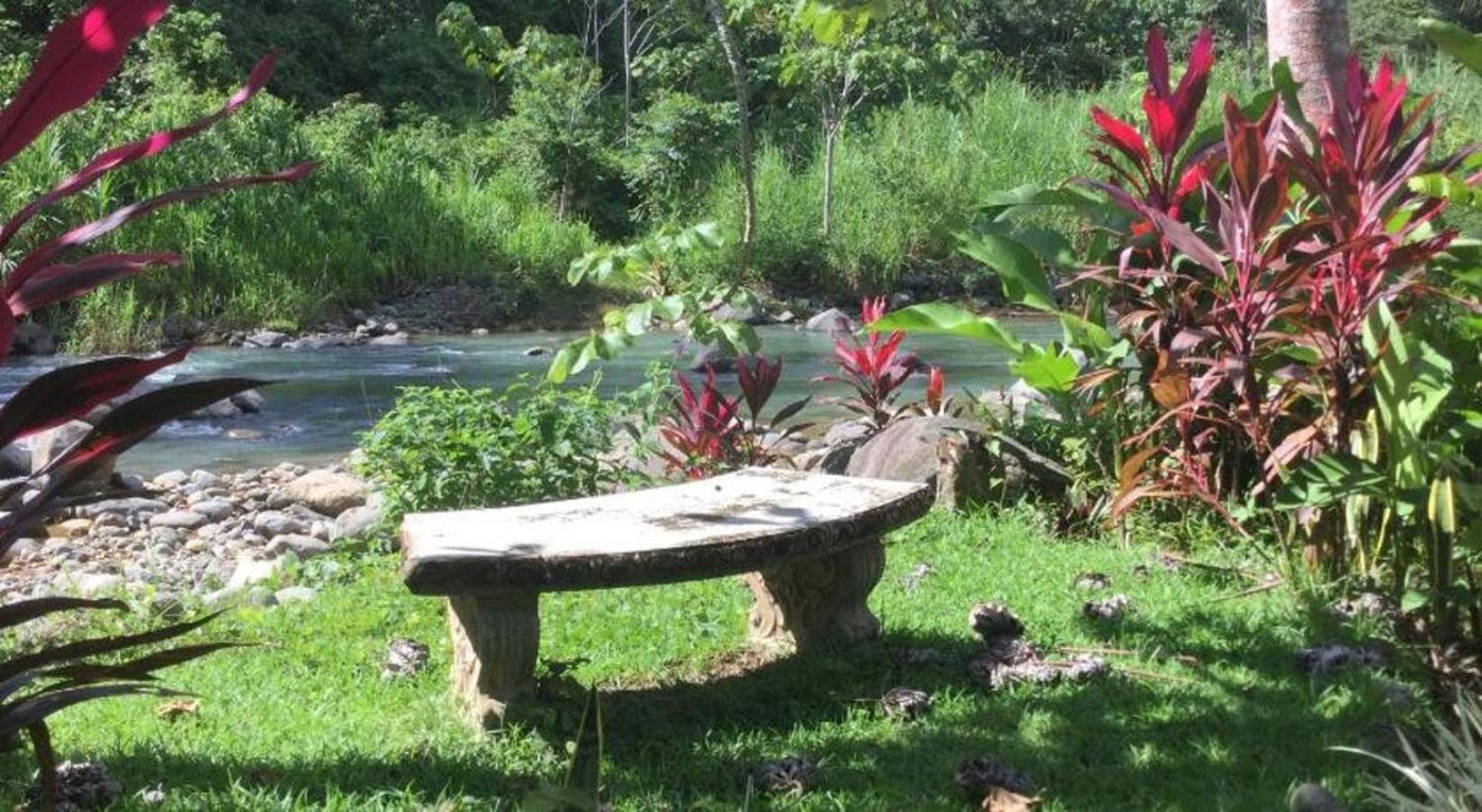 Toucan Villa -riverfront With Pool & Near A Beach