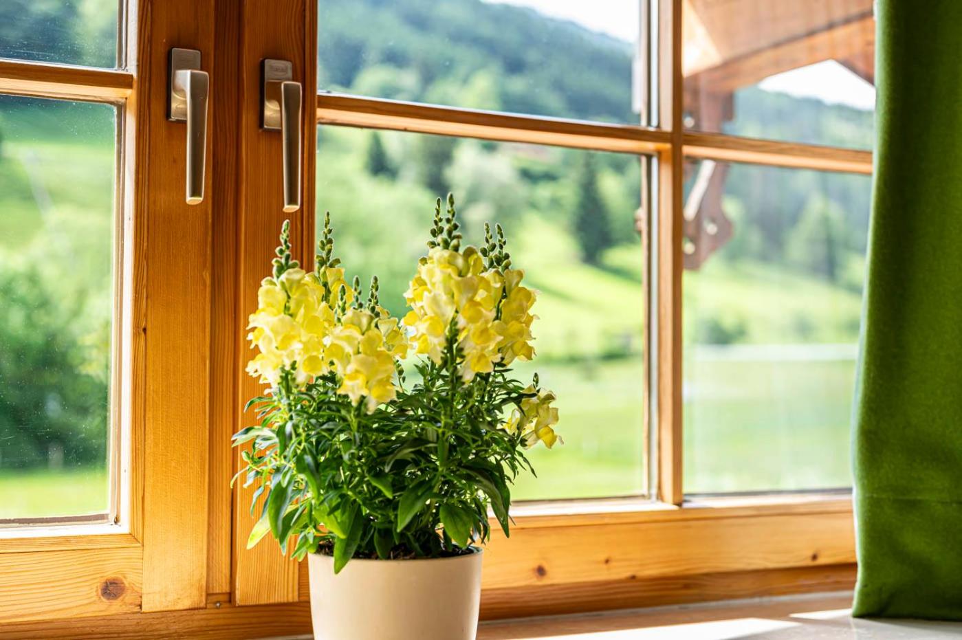 AlpenFerienLandhaus Müller