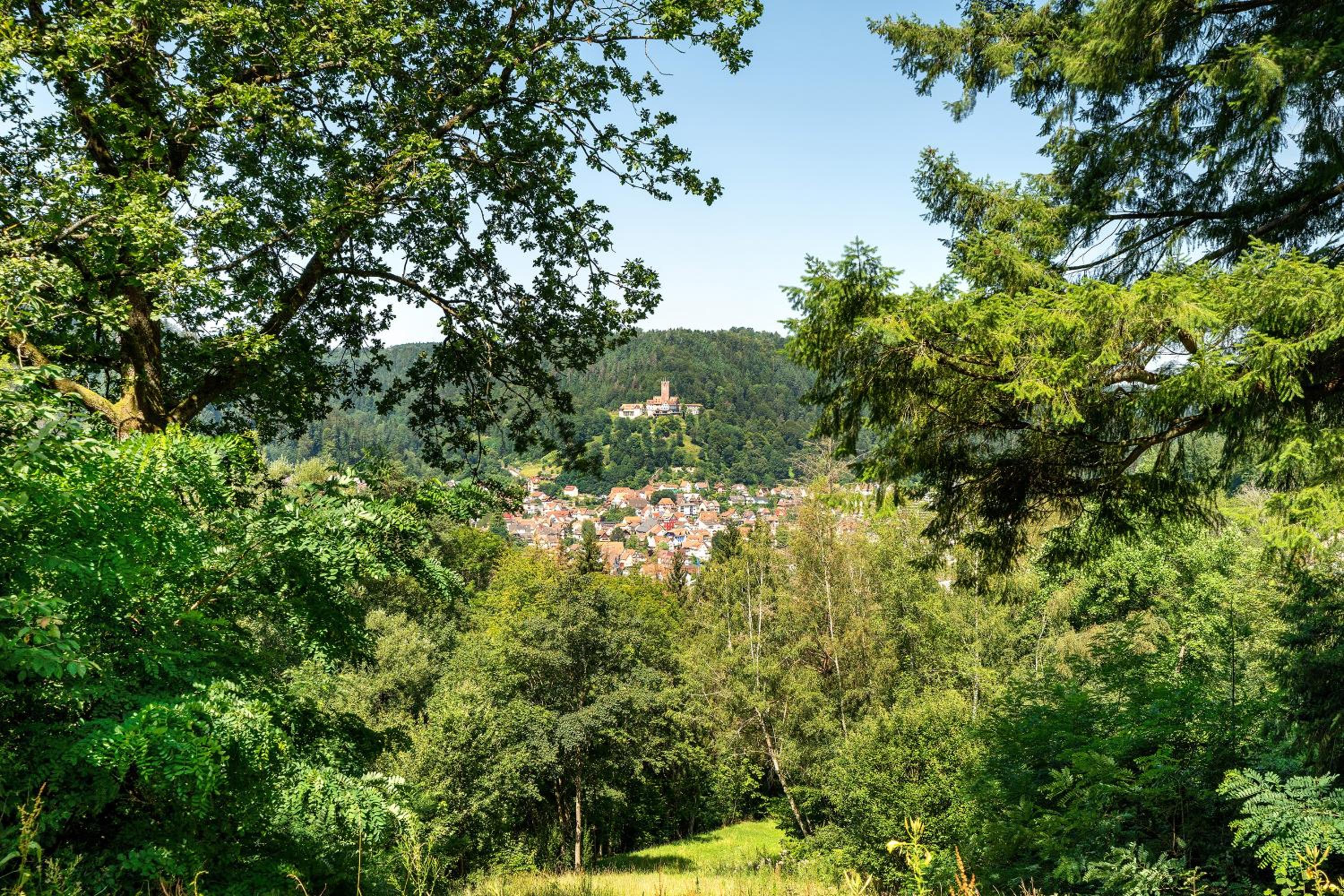 1-Zimmer Apartment Am Hochwald
