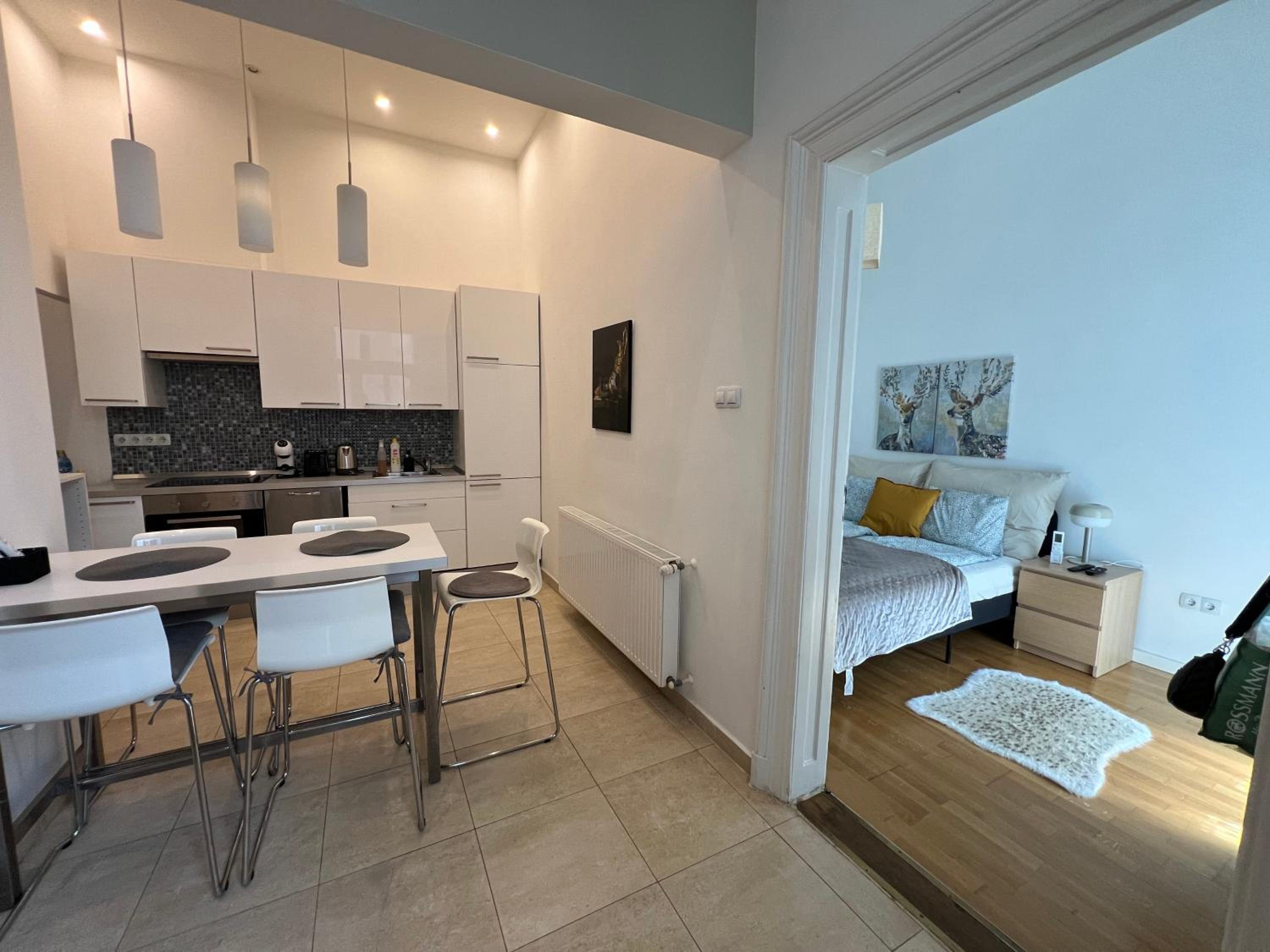 Spacious Apartment by Opera- 2 BR- 2 Bath- AC view 3