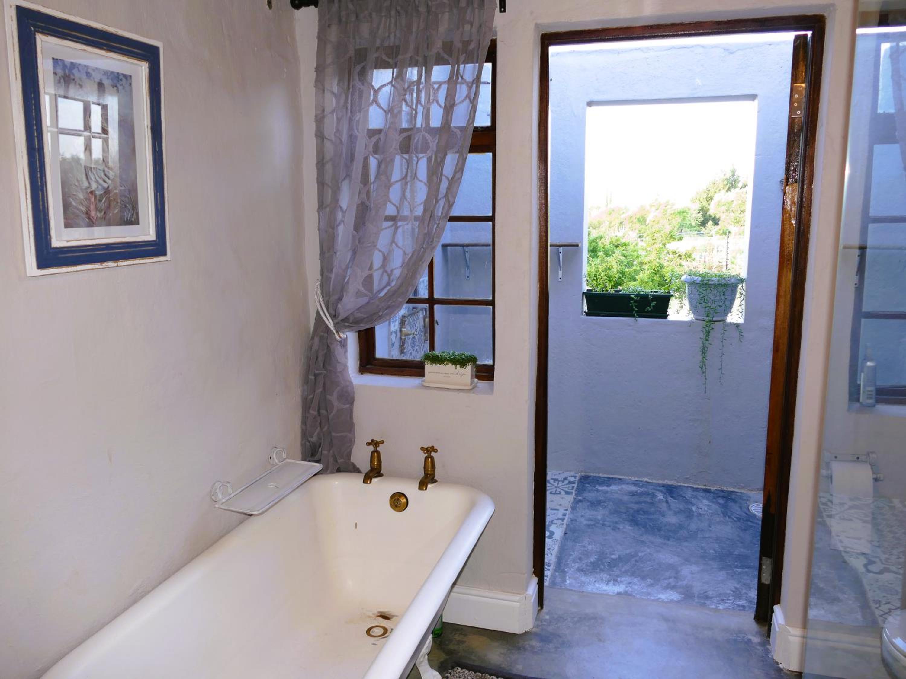 Abundance in Riebeek
