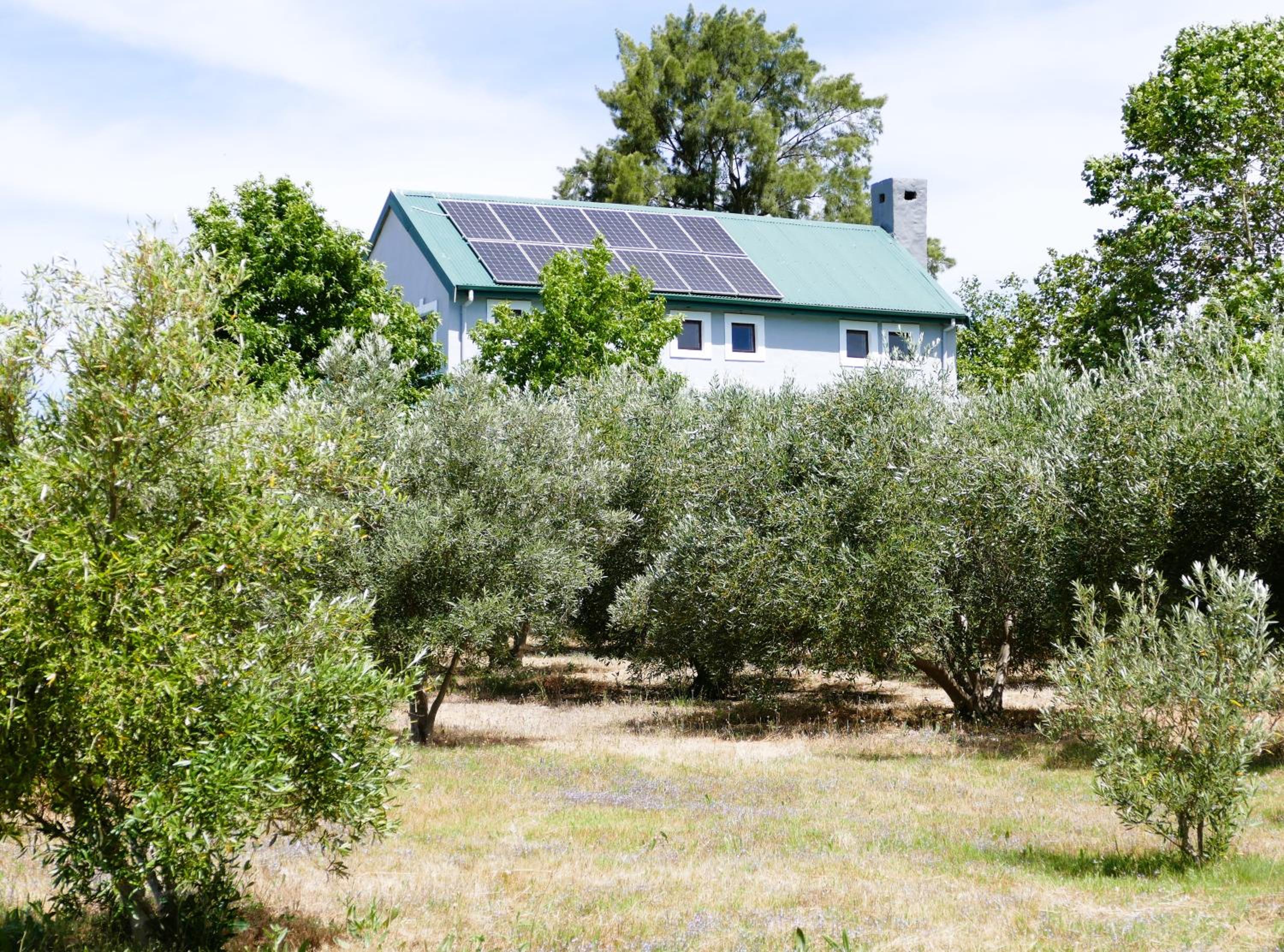 Abundance in Riebeek