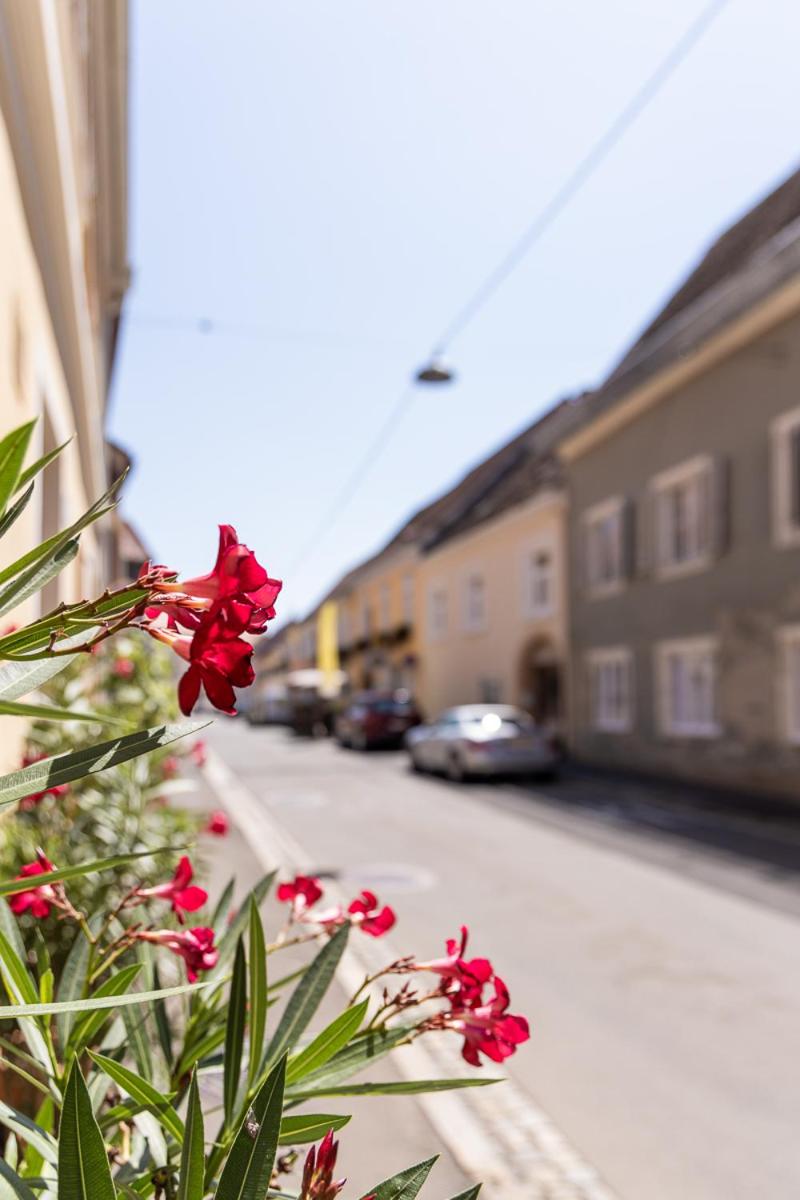 Stadt Apartment Emma Bad Radkersburg