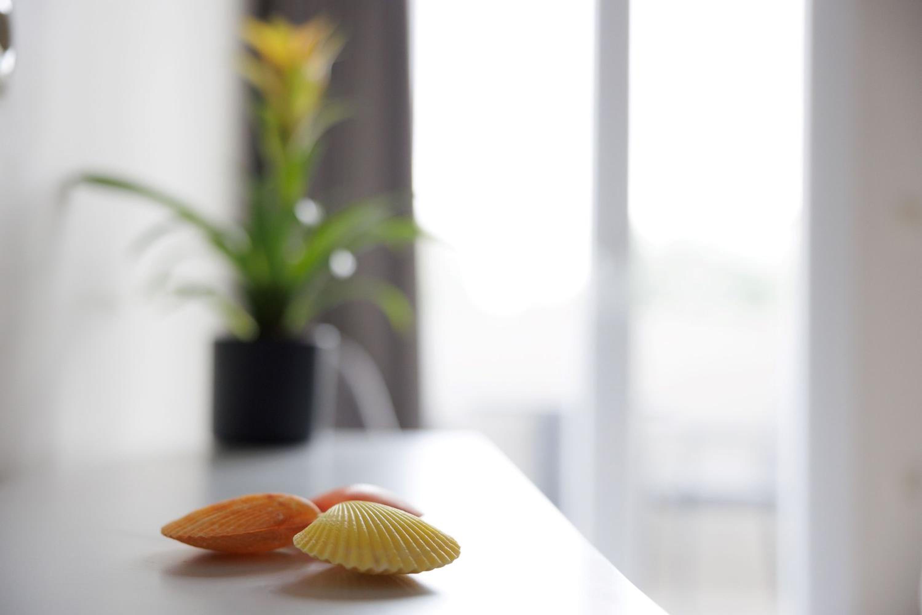 Photo 158