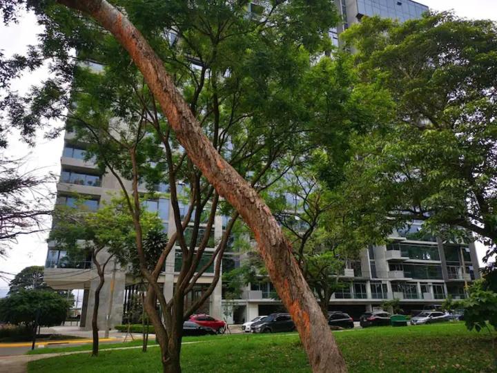 Hermoso apartamento tipo estudio en zona exclusiva