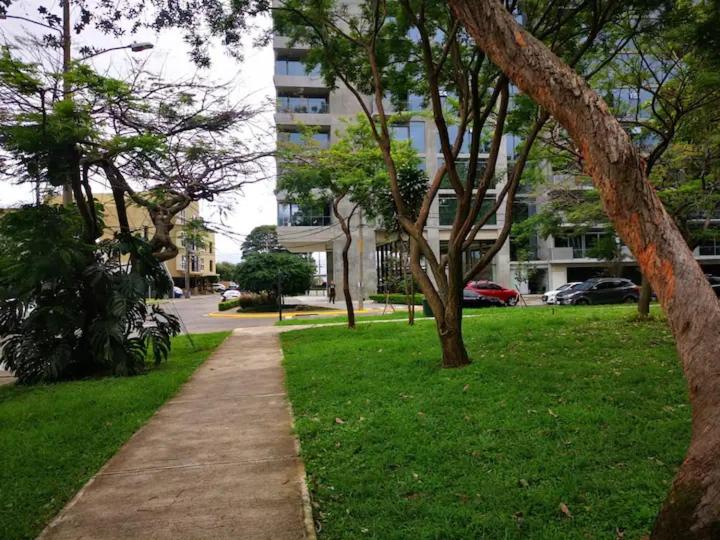 Hermoso apartamento tipo estudio en zona exclusiva