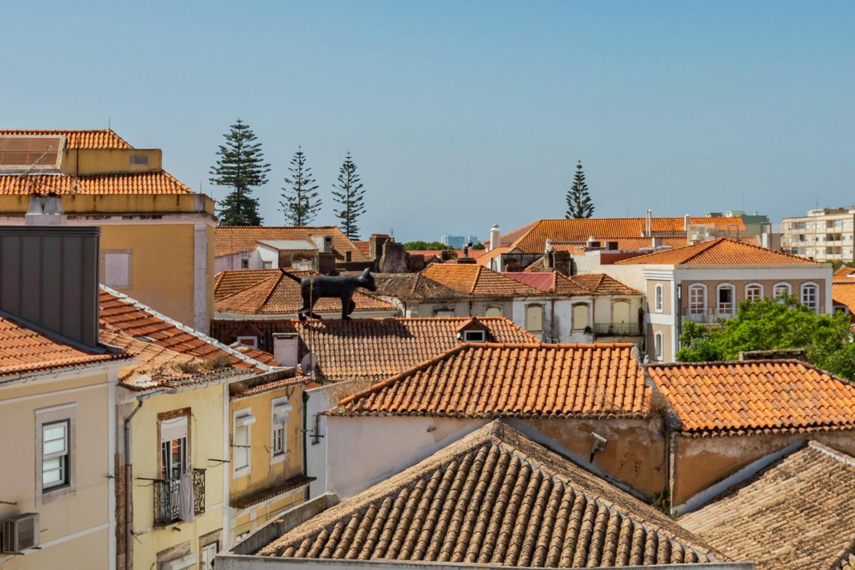 Setúbal Downtown Nº97B view 3