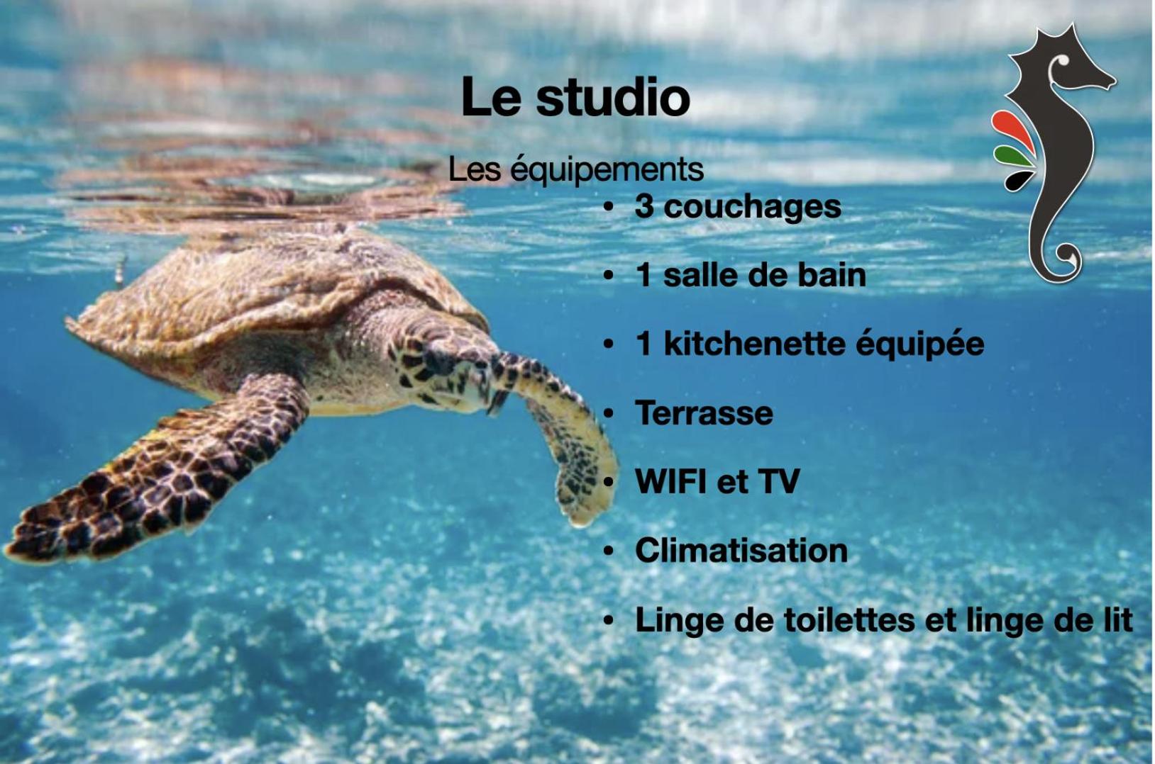 Studio Zandoli
