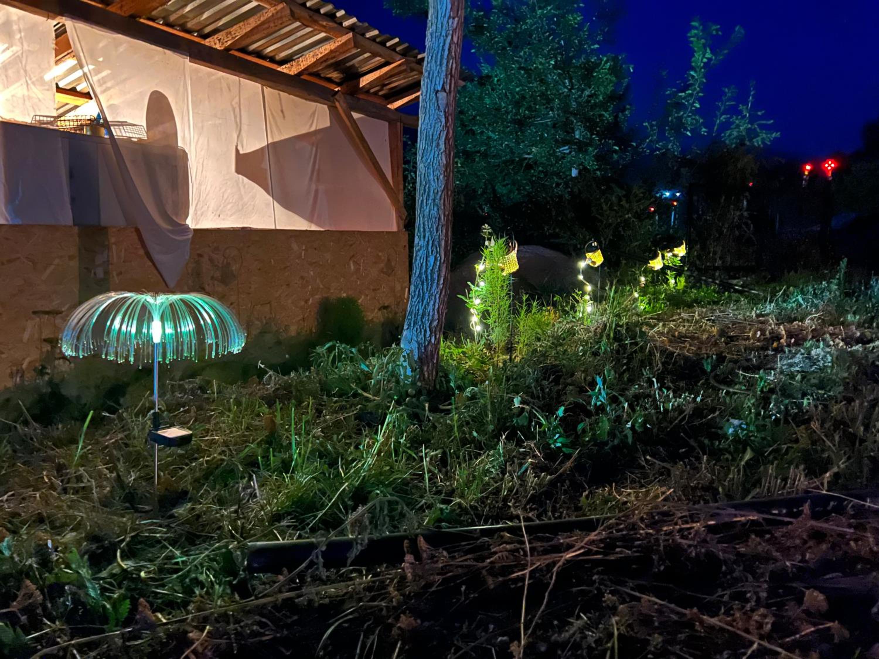 FOREL FISH GUEST HOUSe view 2