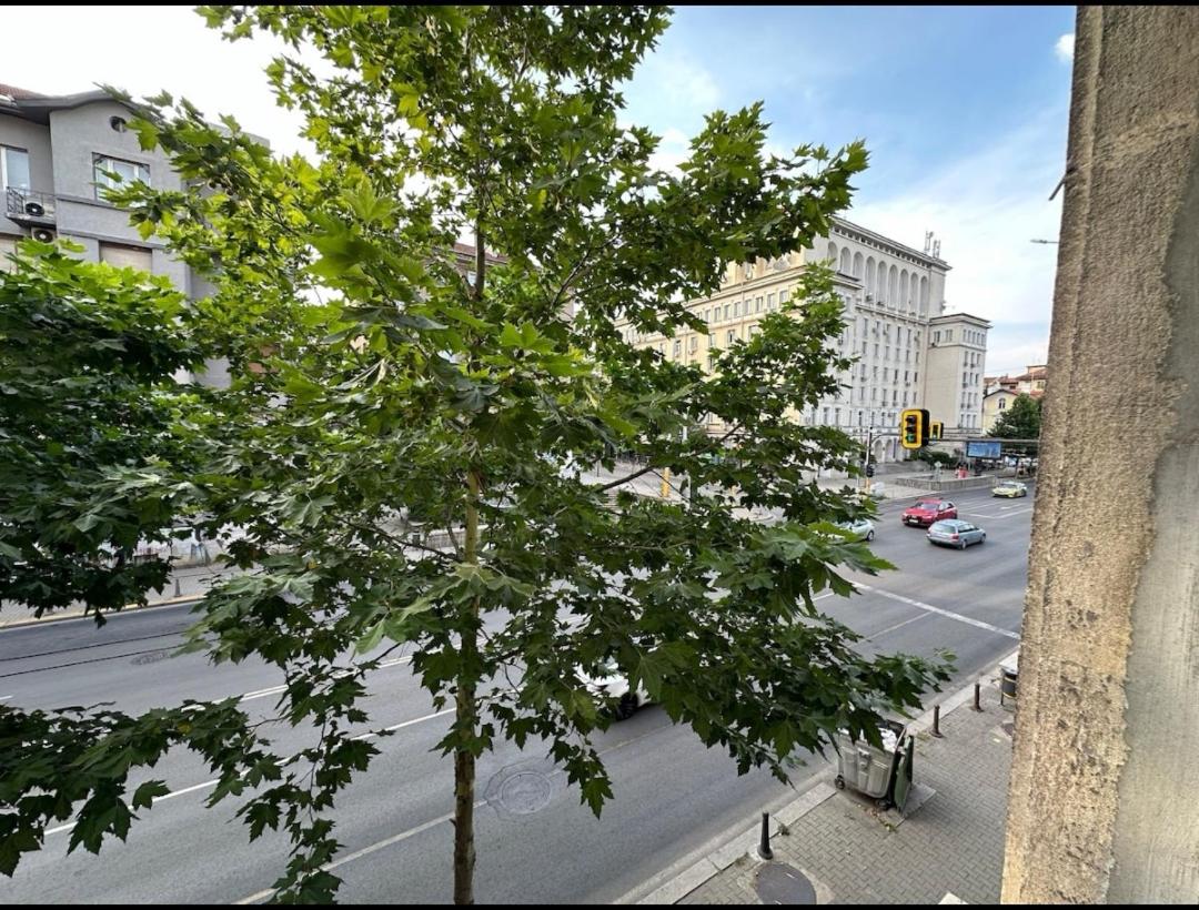 Apartament 86