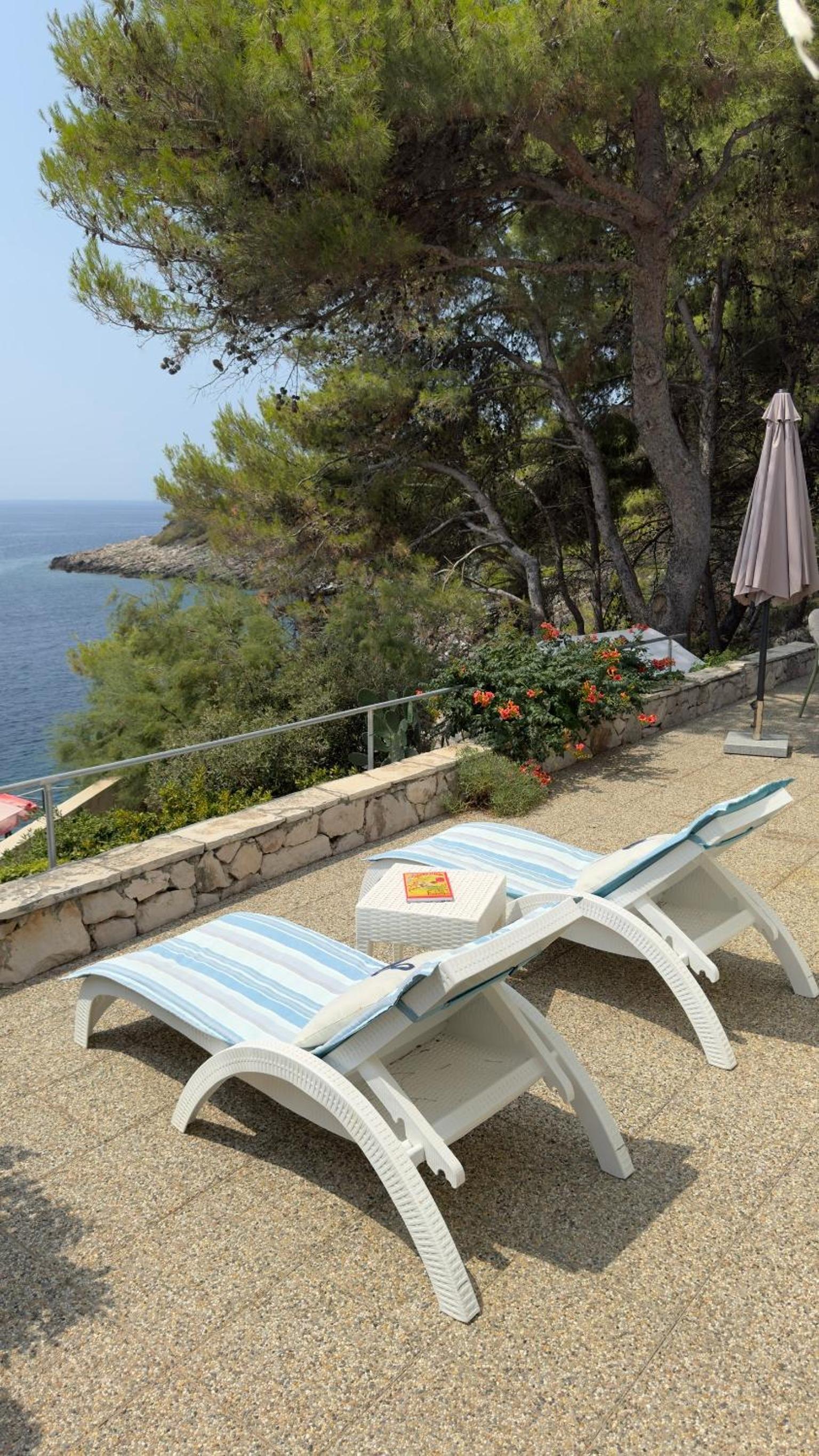 Apartments Bisko