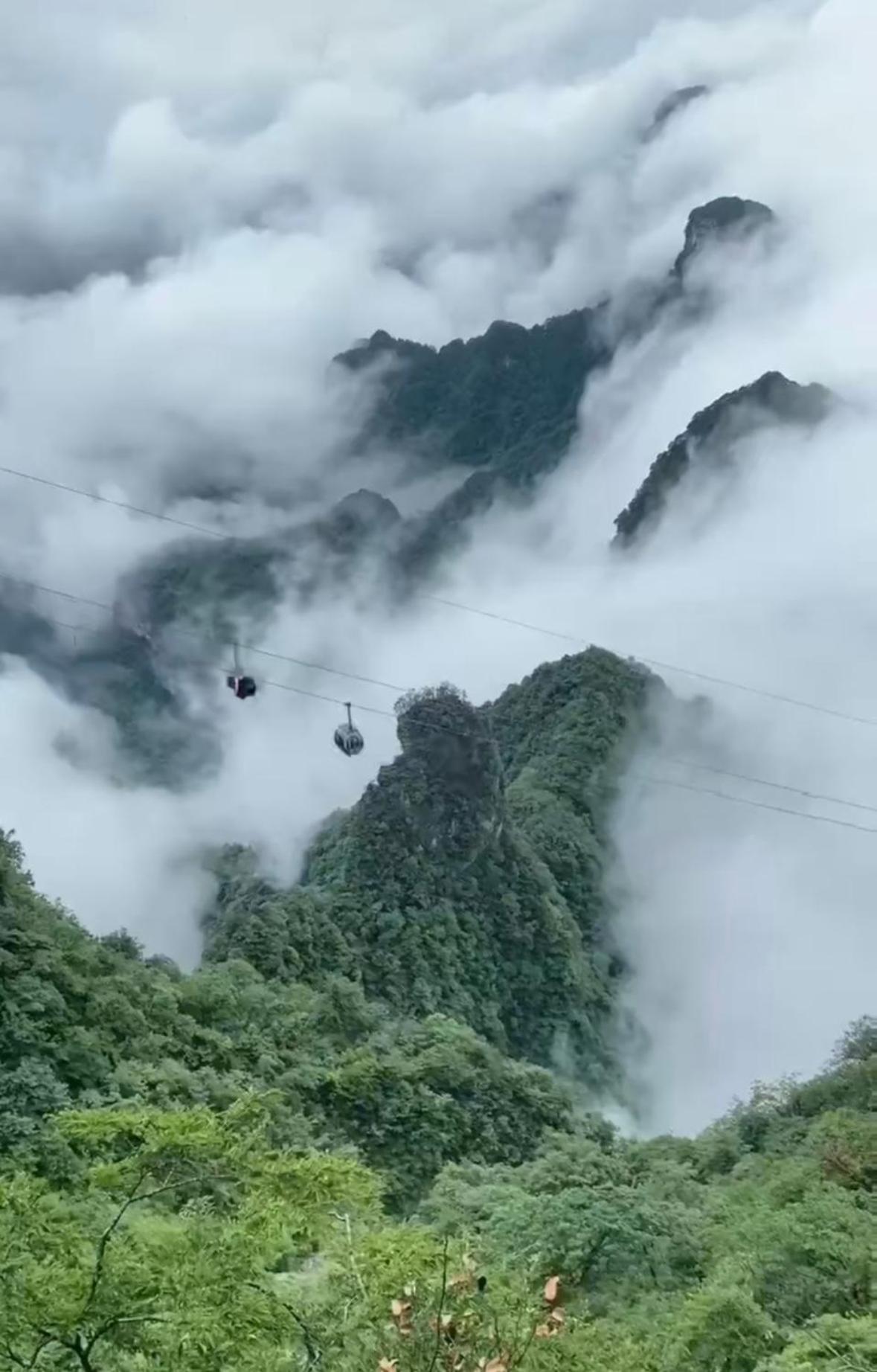 Tianmen cableway Residence- Free Pickup, English Travel & Ticket Service