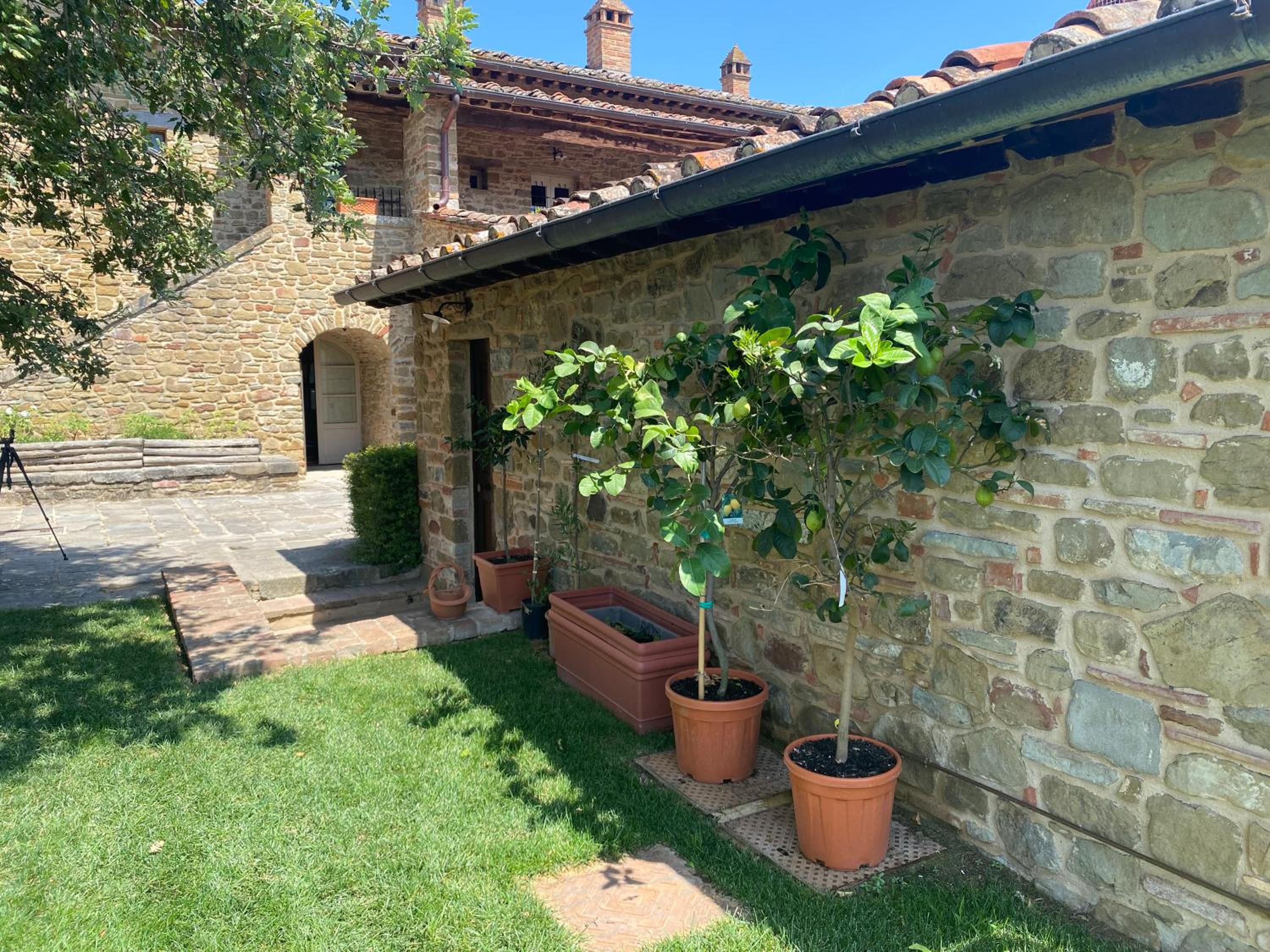 Podere Cavalbianco