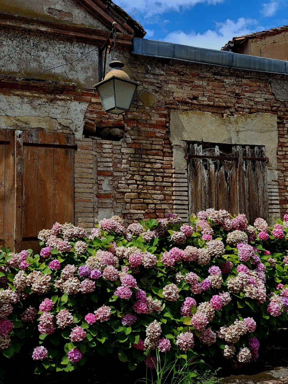 La Cour Verte, photo 4