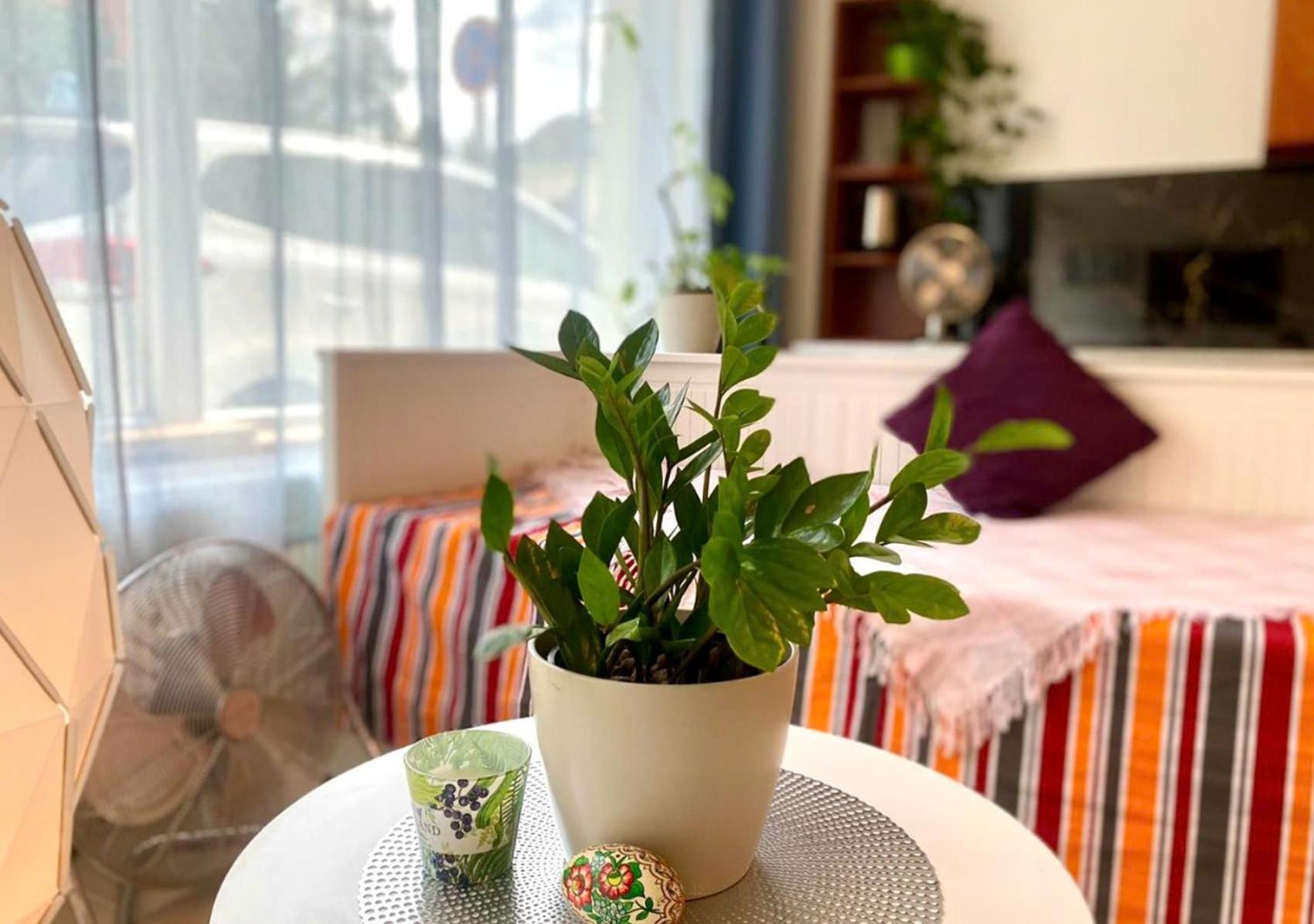 Green Studio Praha 2 l Ground floor Free PARKING