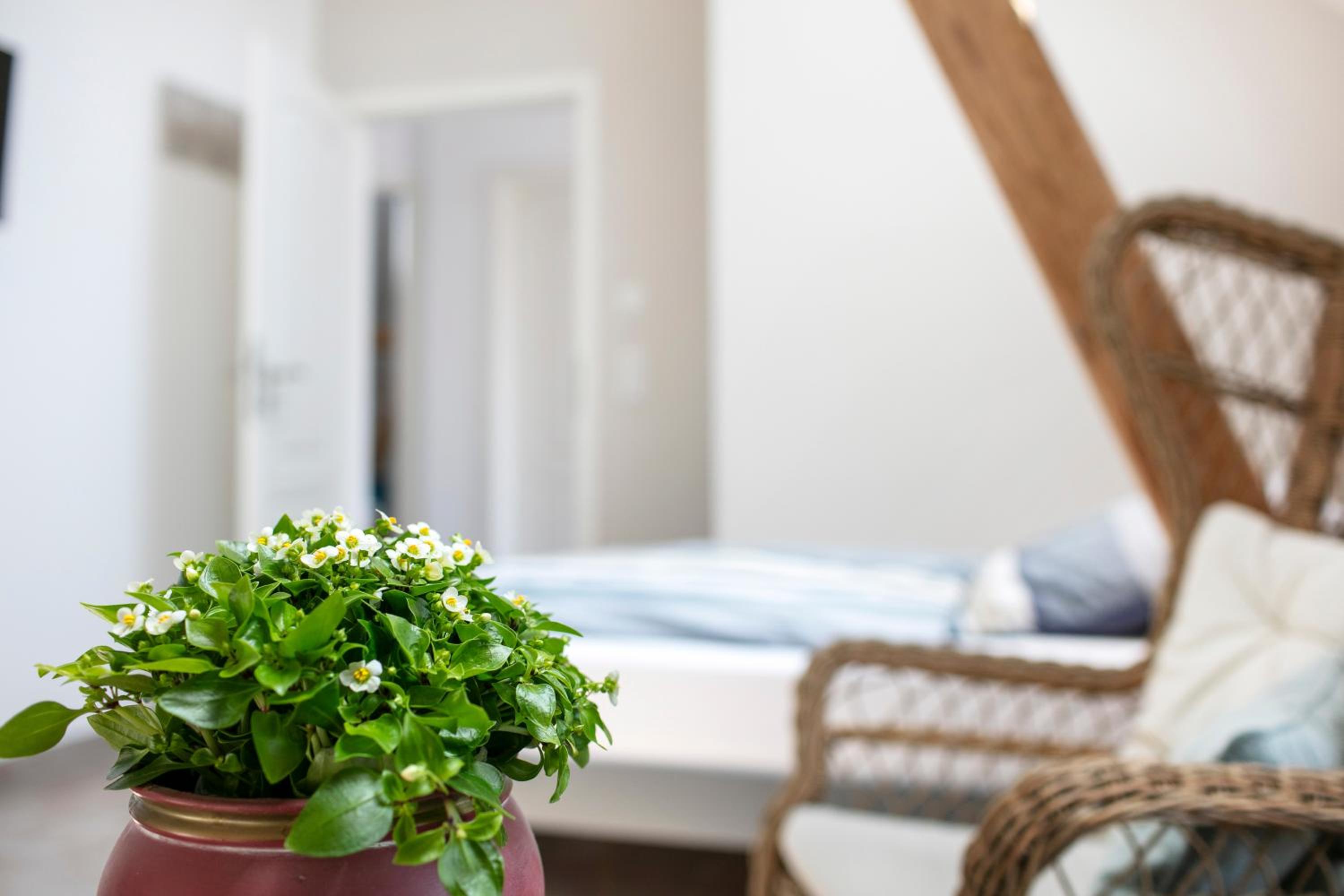 Ferienhaus 'Zum tänzelnden Pony'