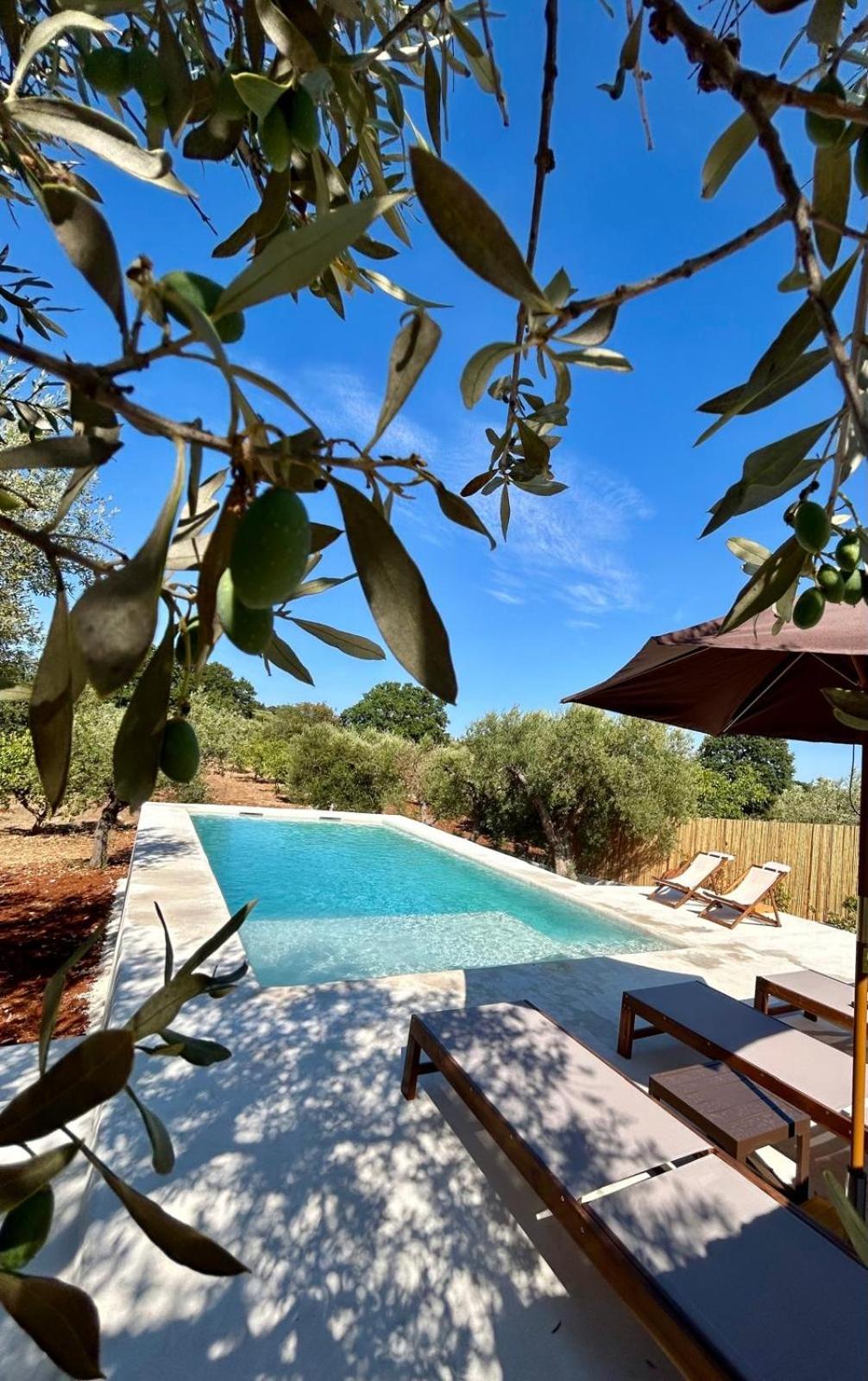 Trulli Biancopumo - private pool
