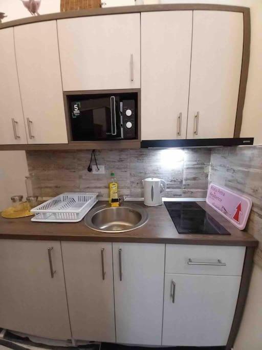 1 Floor Deluxe Apartment Belgrade Center Near Sava River - Starigrad view 2
