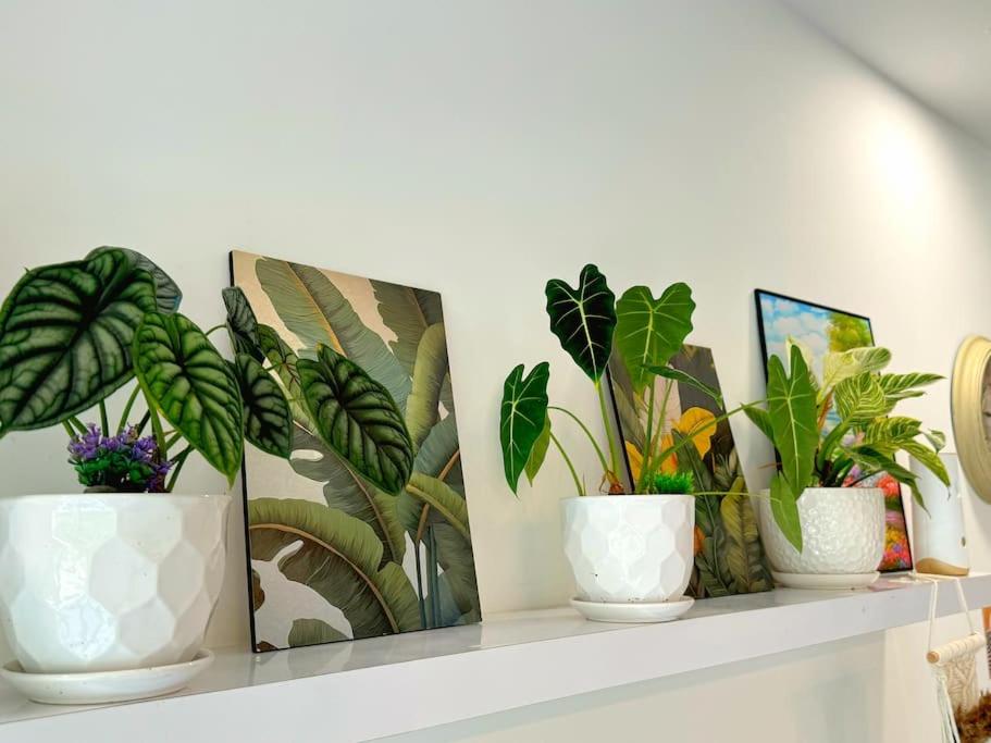 Peony Square Residences with Tea Valley View photo 6