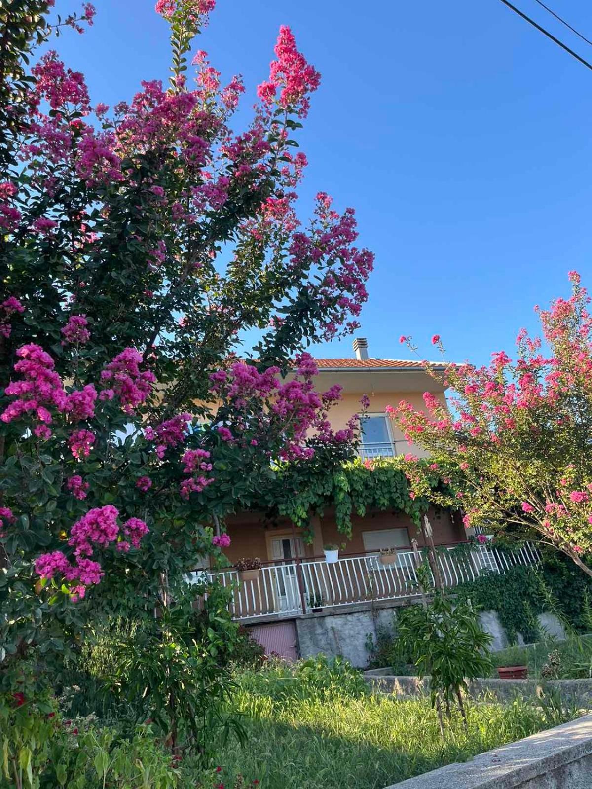 Apartman Perper 2 Trebinje