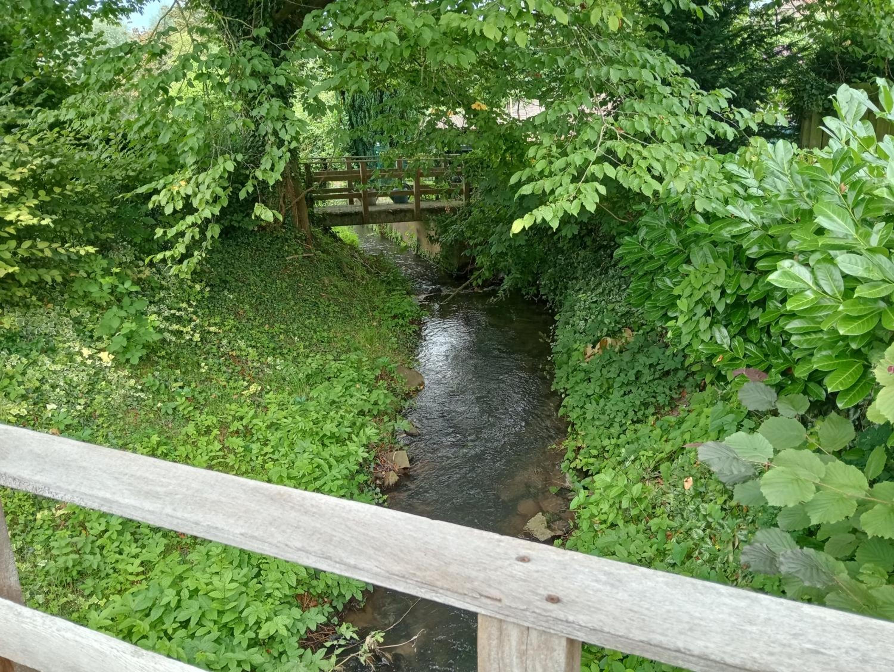 Photo 11