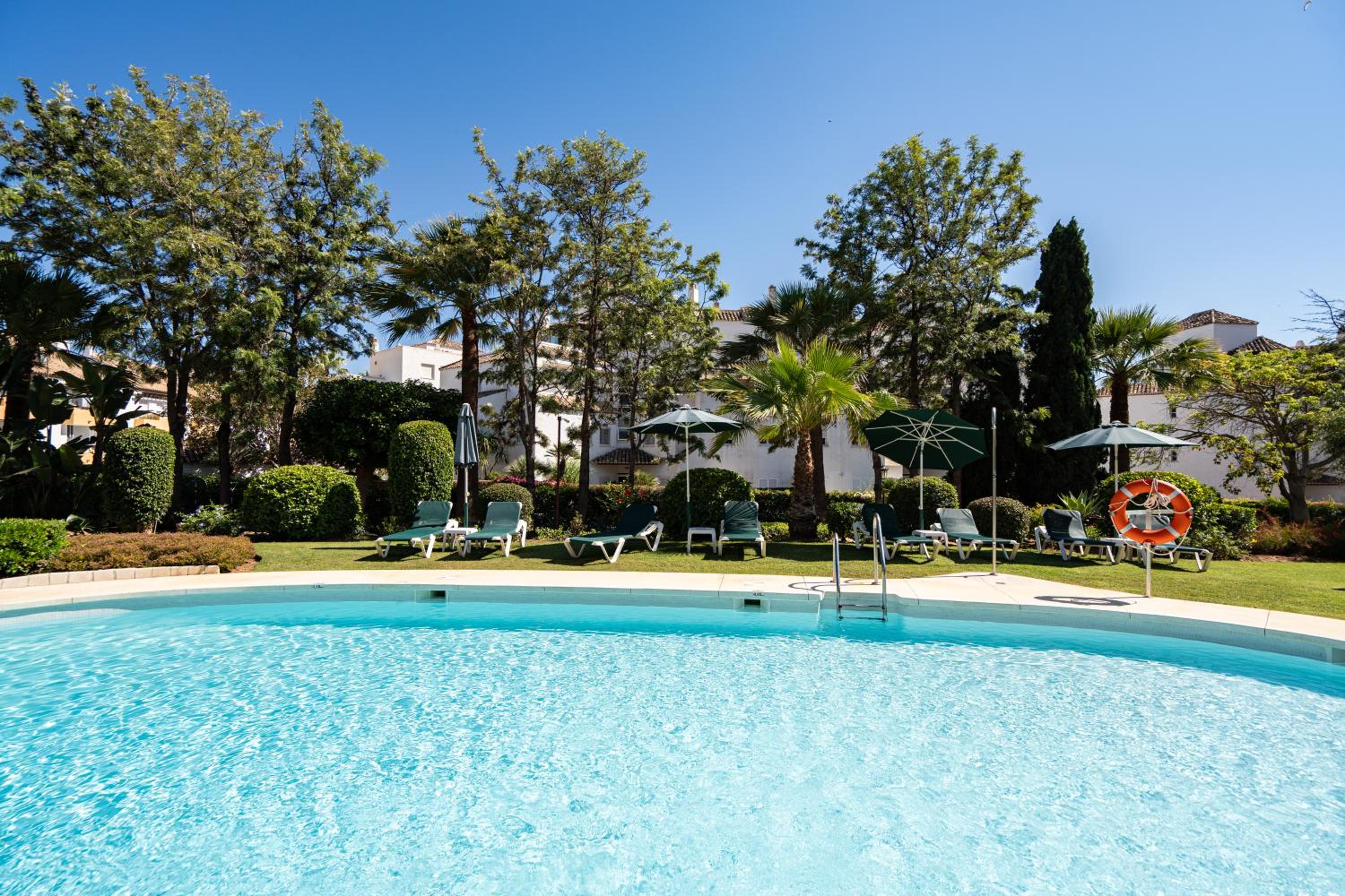 Photo 31