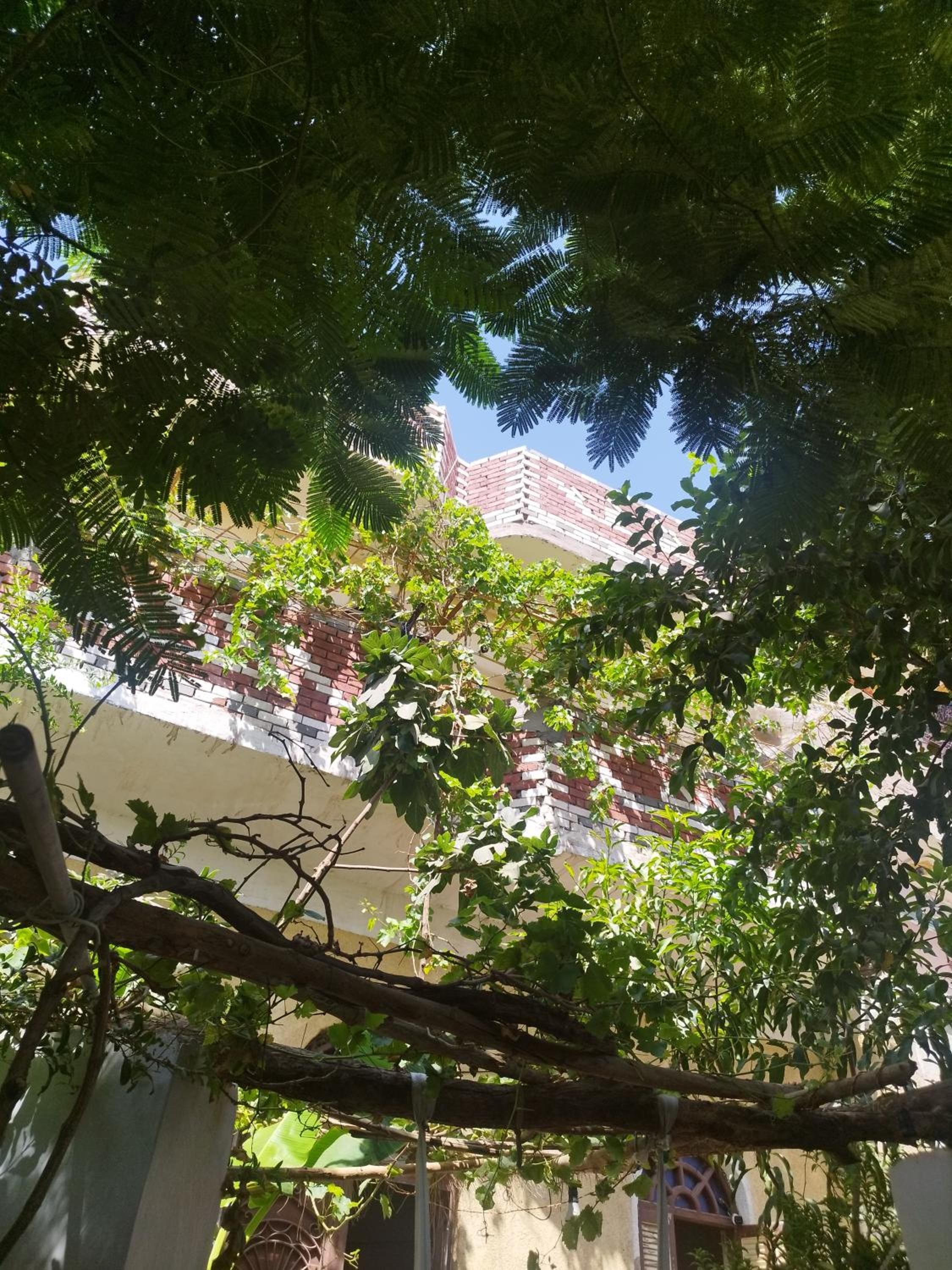 Al Saeed Family Hostel