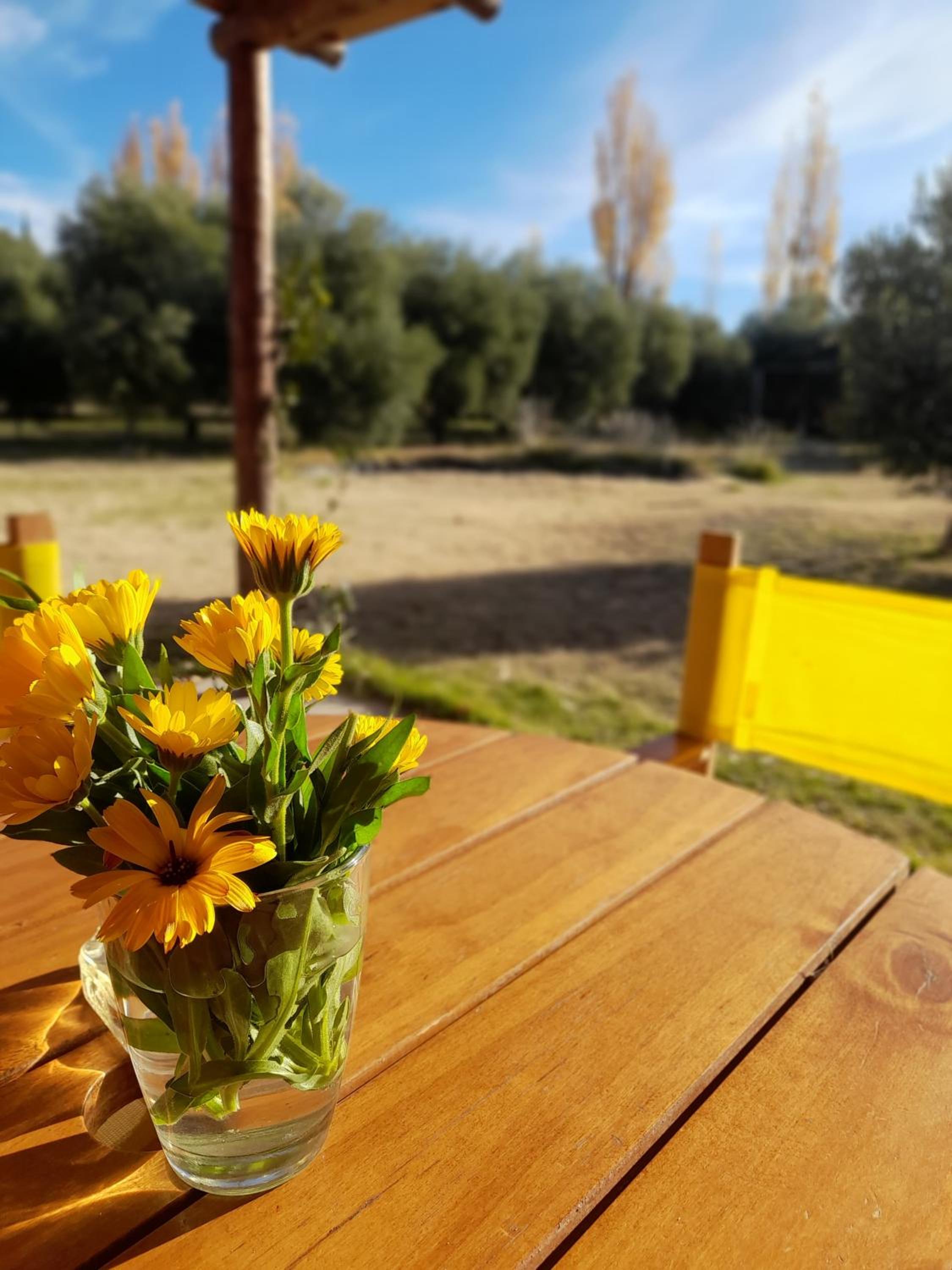 Finca La Calma
