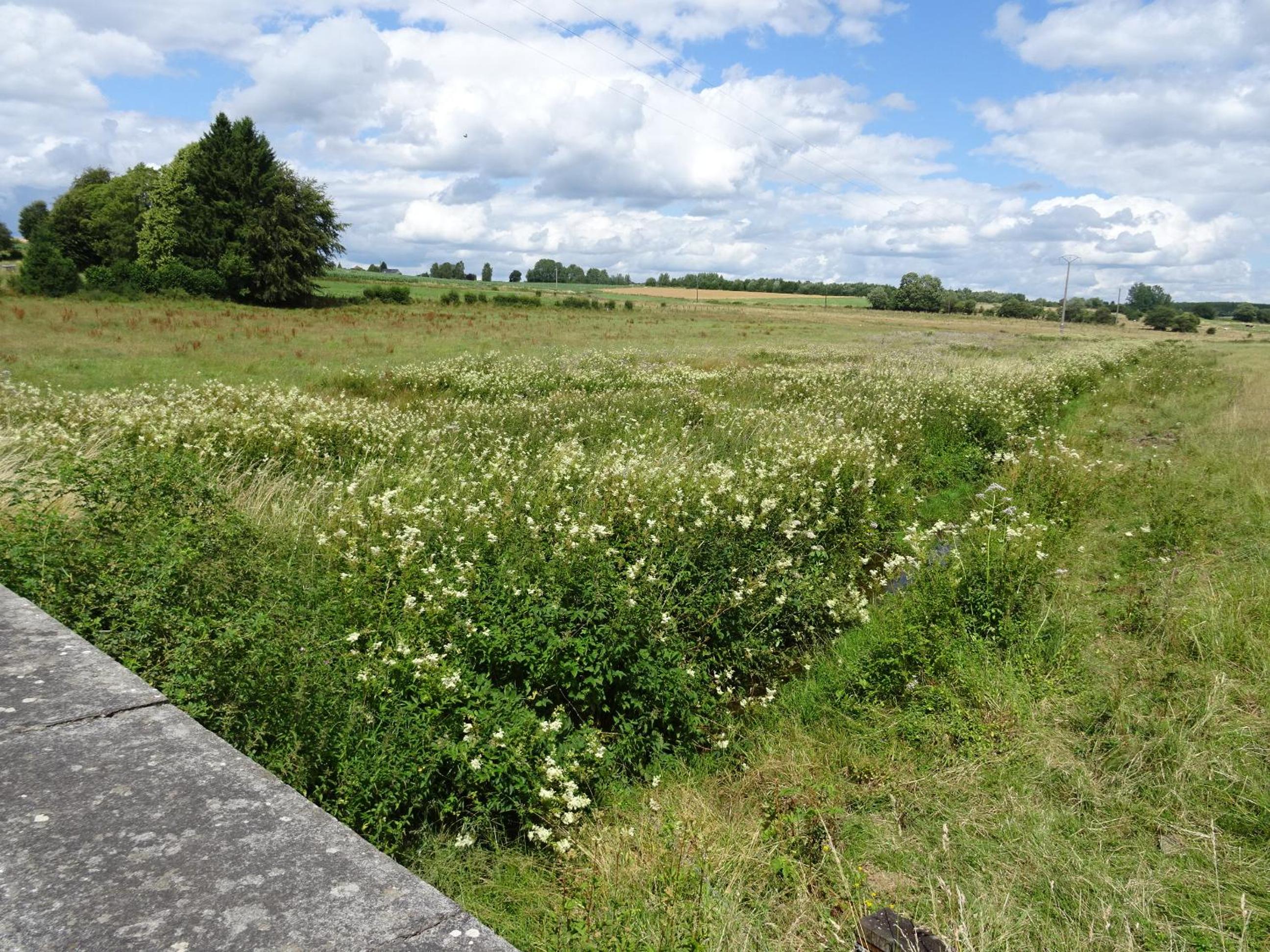 Gîtes Les LHOMMALINNES