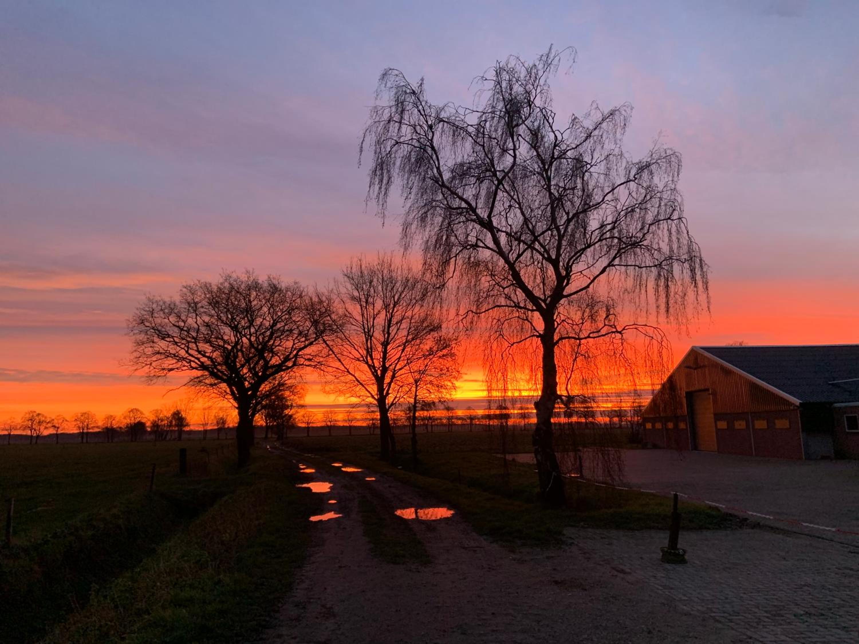 Heikant Hoeve met Jacuzzi, photo 29