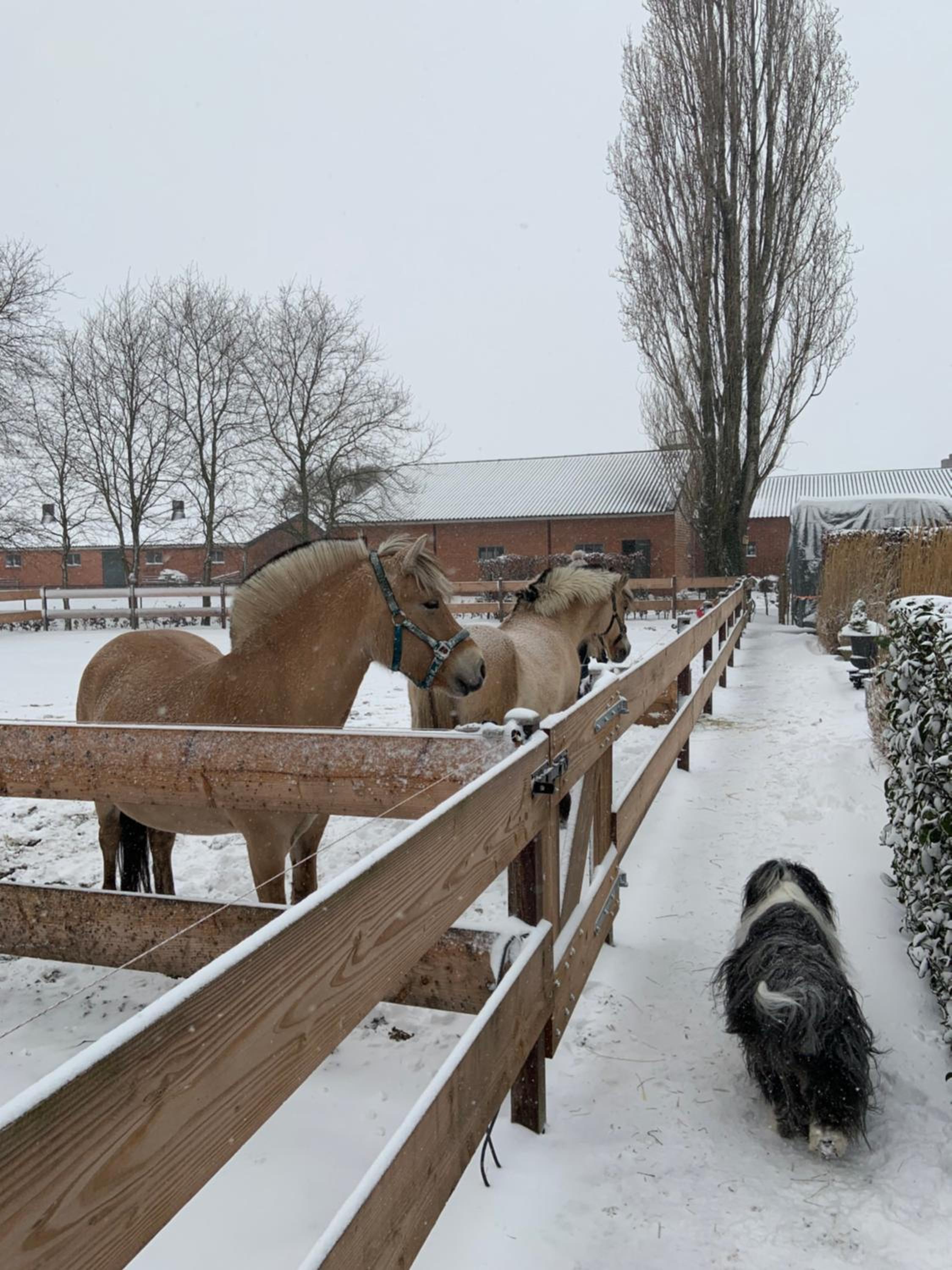 Heikant Hoeve met Jacuzzi