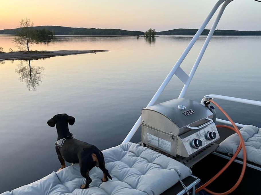 Tyylikäs jahti Vääksyn kanavan lähellä